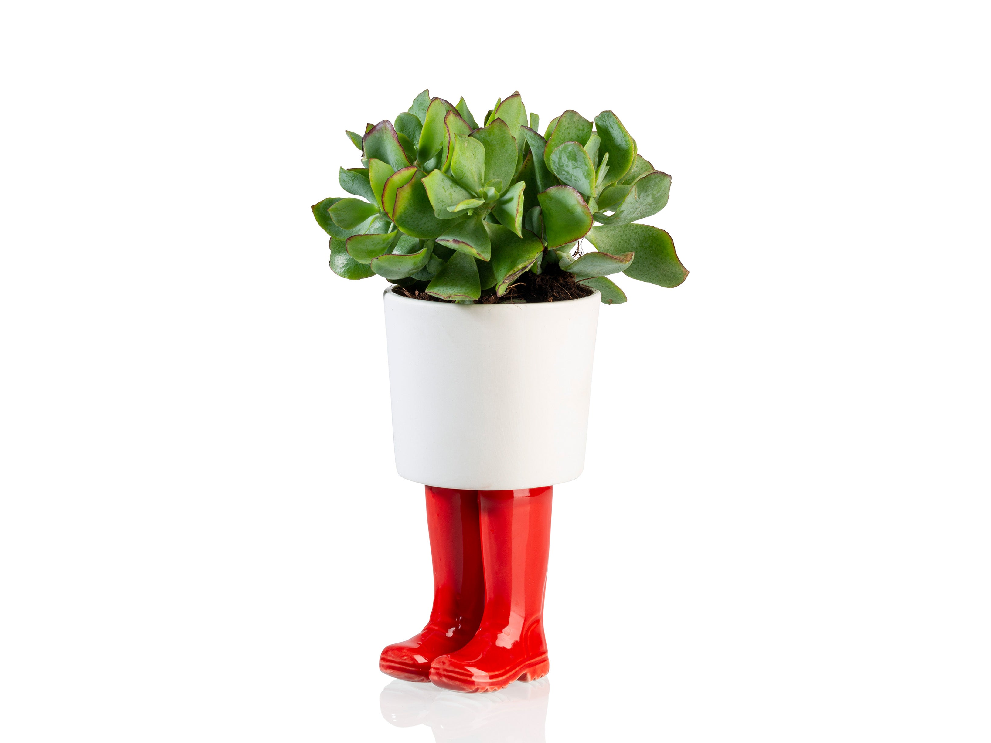 bitten-wellington-planter-cache-pot-botte-rouge-grand image 1
