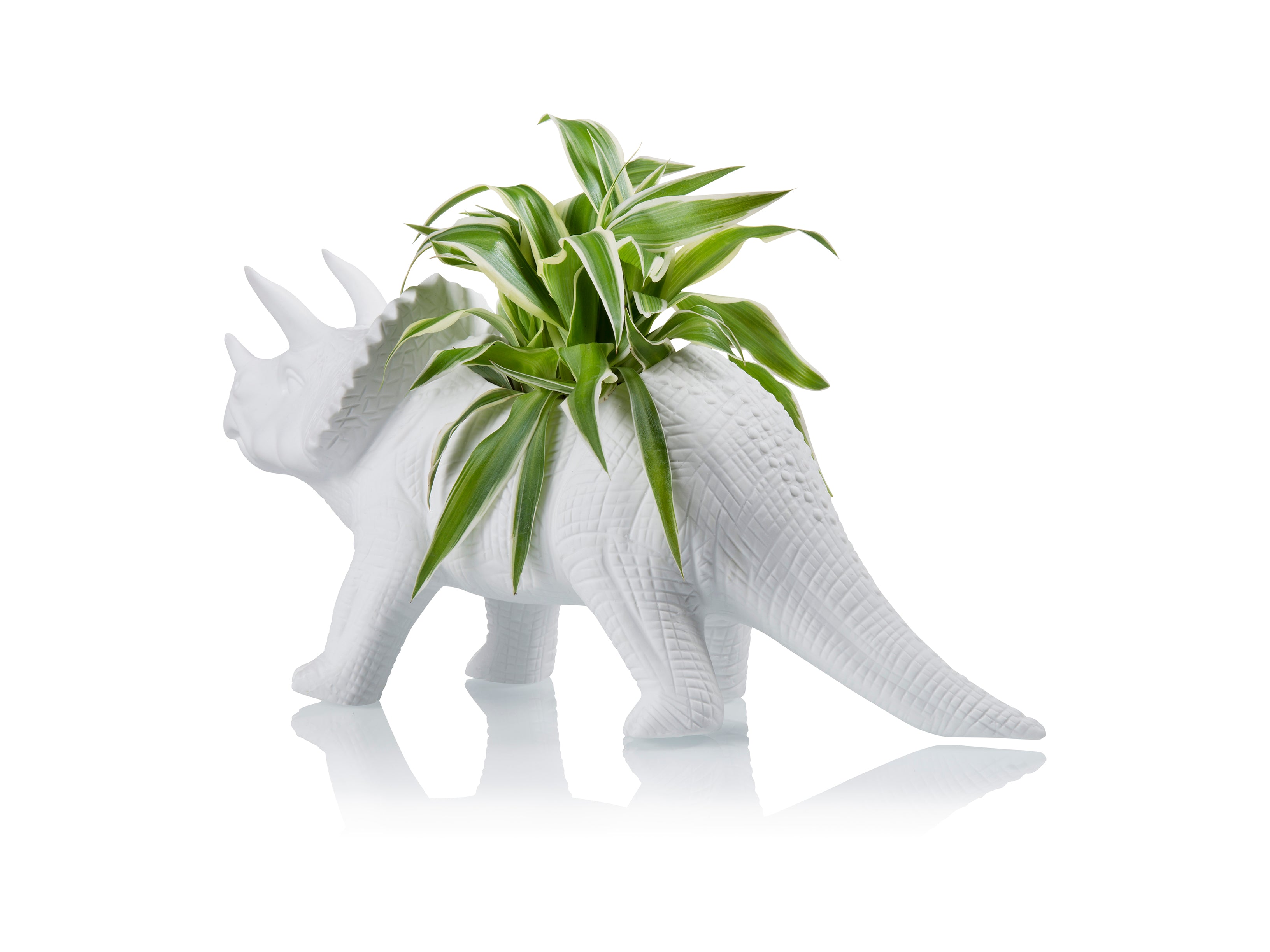 bitten-tricerapot-cache-pot-dinosaure-blanc-31-cm image 5