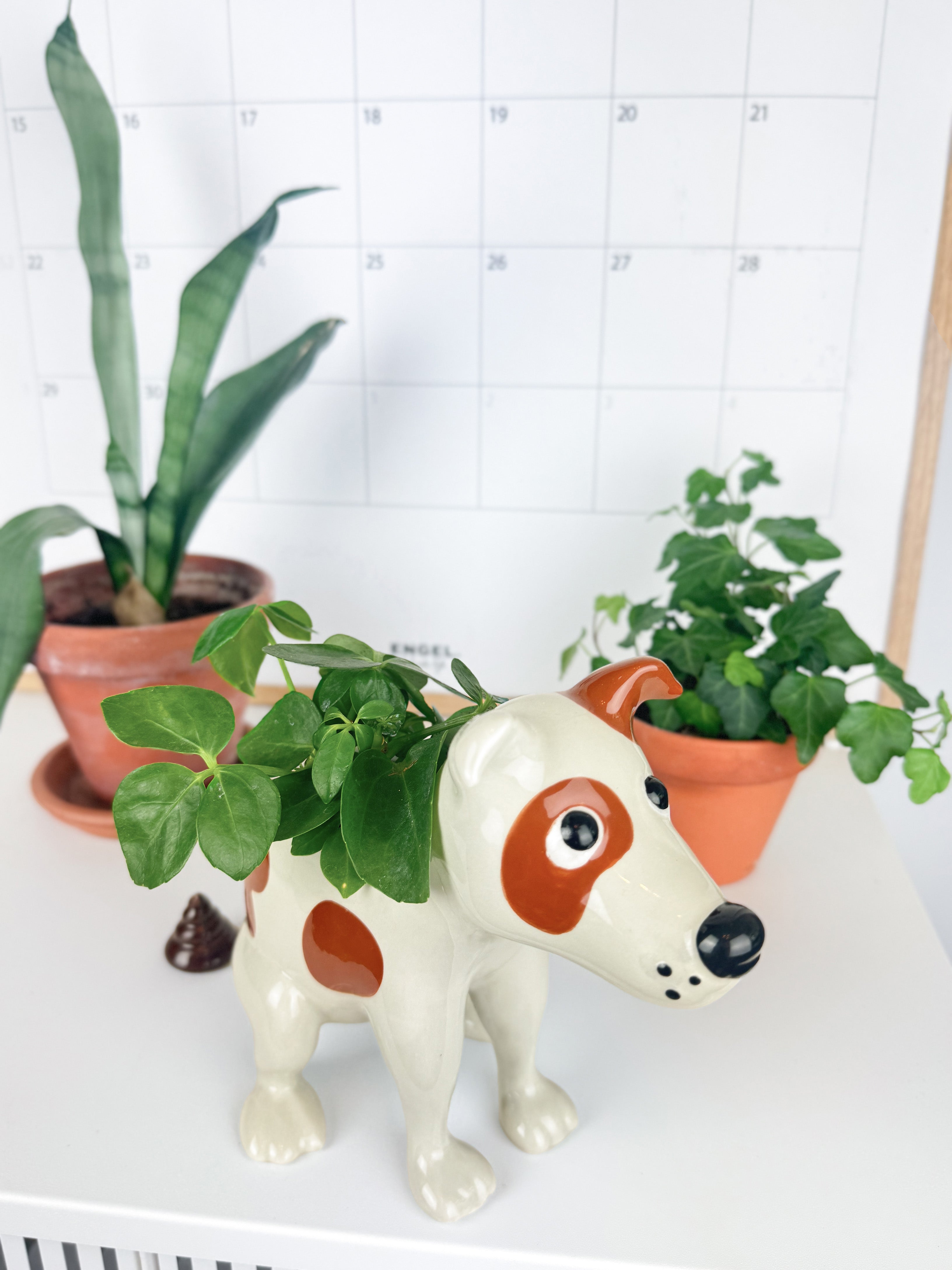 bitten-pooing-dog-cache-pot-chien-c-ramique-original image 8