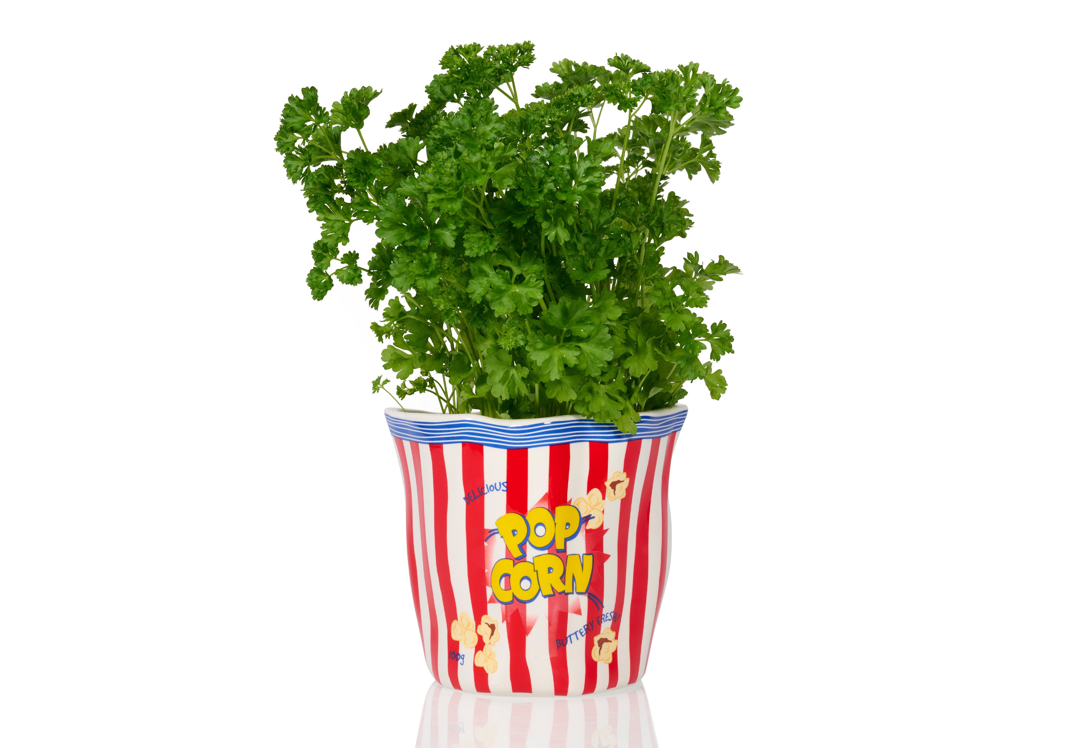 bitten-planters-vases-popcorn-pot-c-ramique-cin-ma image 1