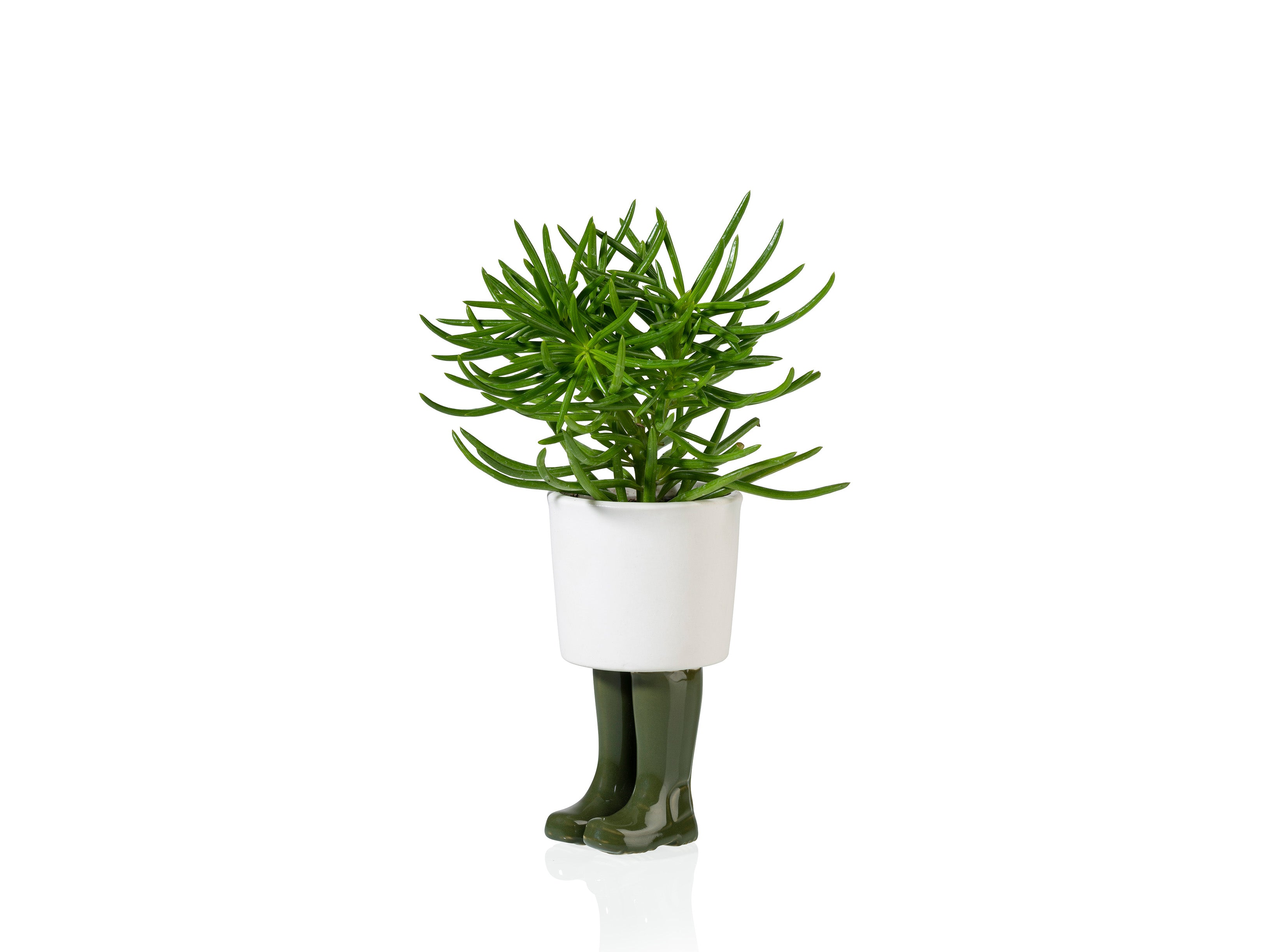 bitten-wellington-planter-small-green-cache-pot-vert image 3