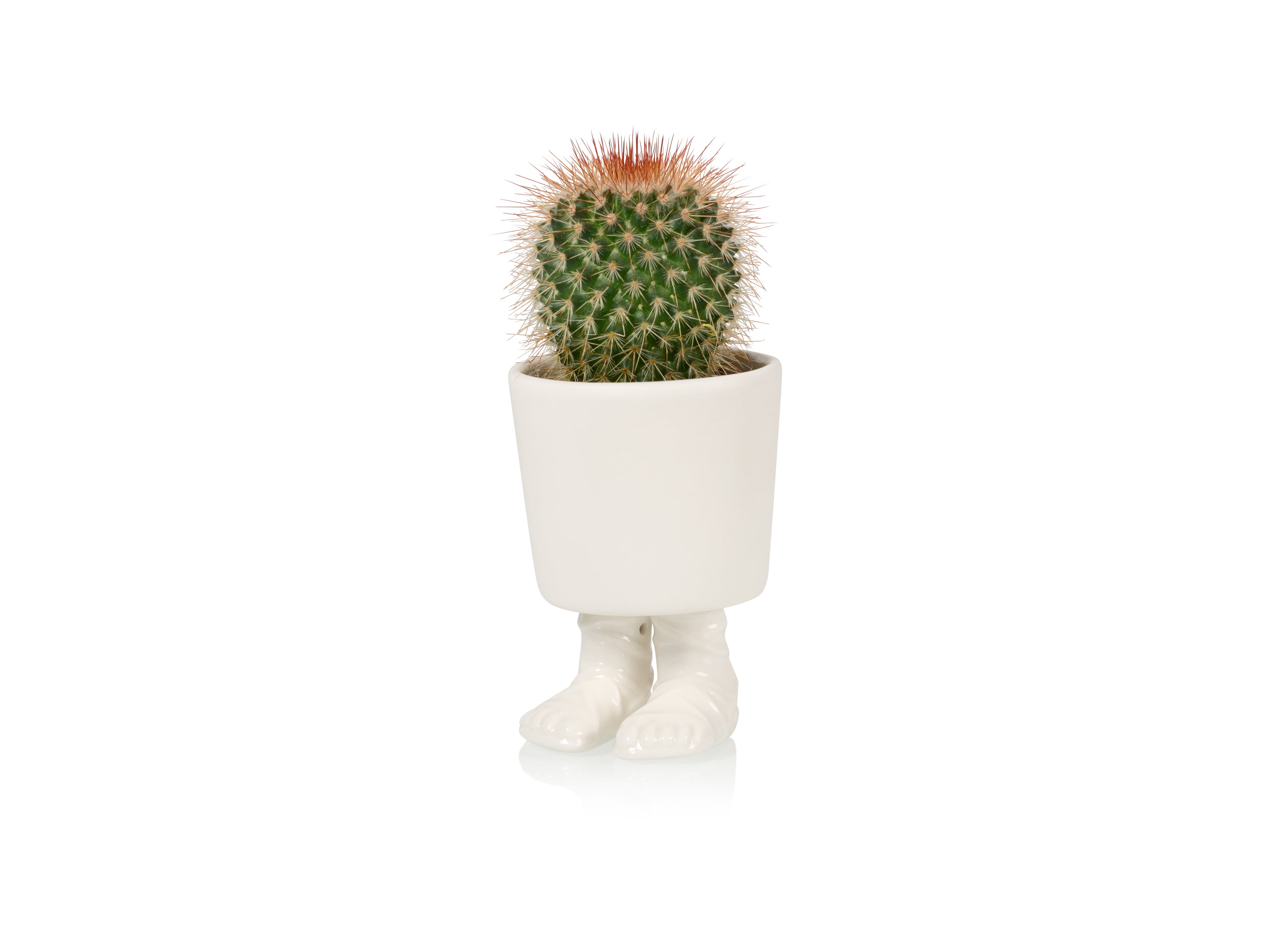 bitten-gladiator-sandal-petit-cache-pot-sandale image 1