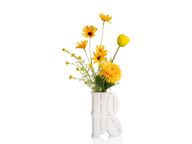 bitten-planters-hope-vase-vase-d-co-int-rieur image 1