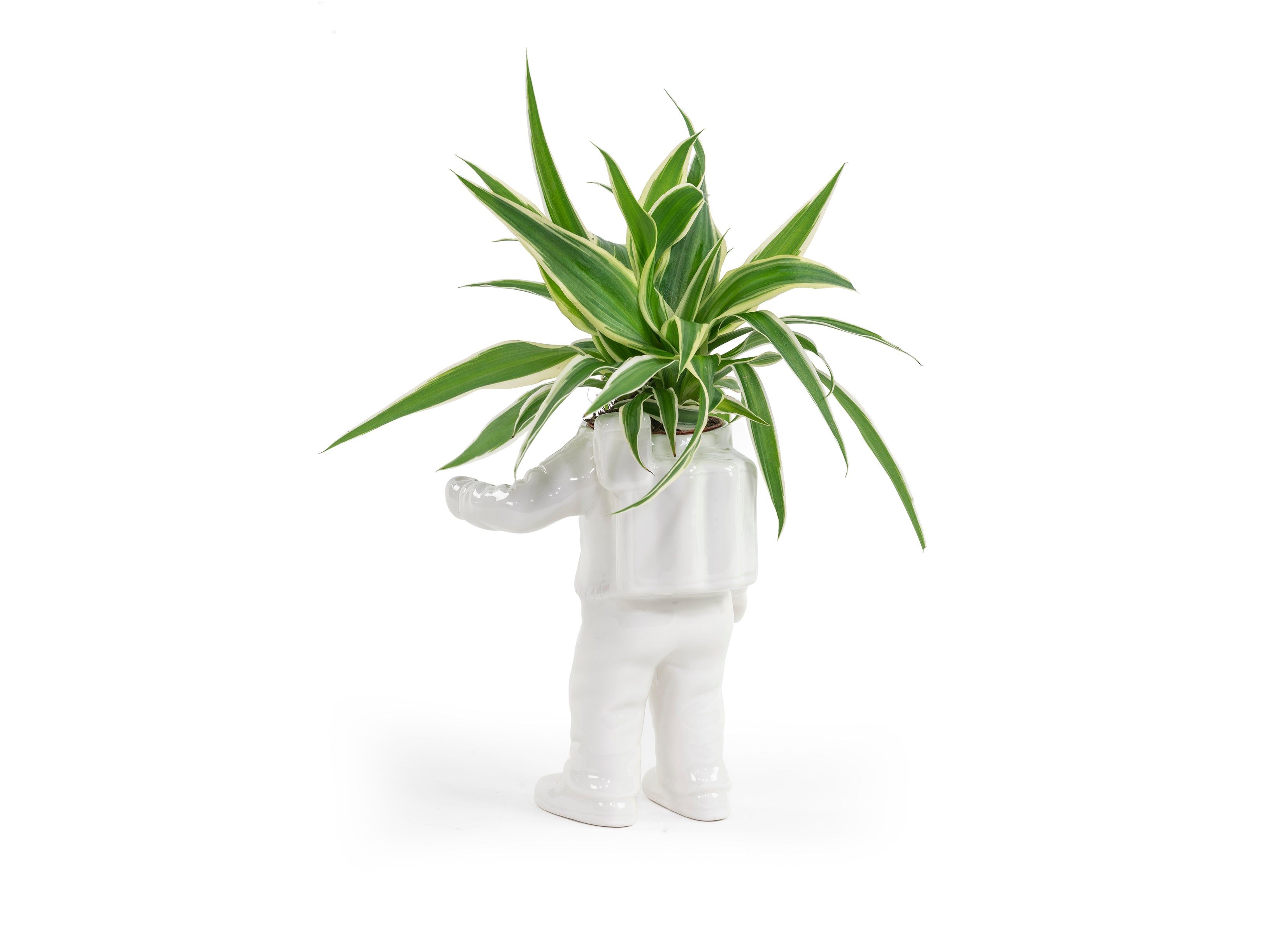 bitten-astronaut-planter-small-pot-plante-astronaute image 2