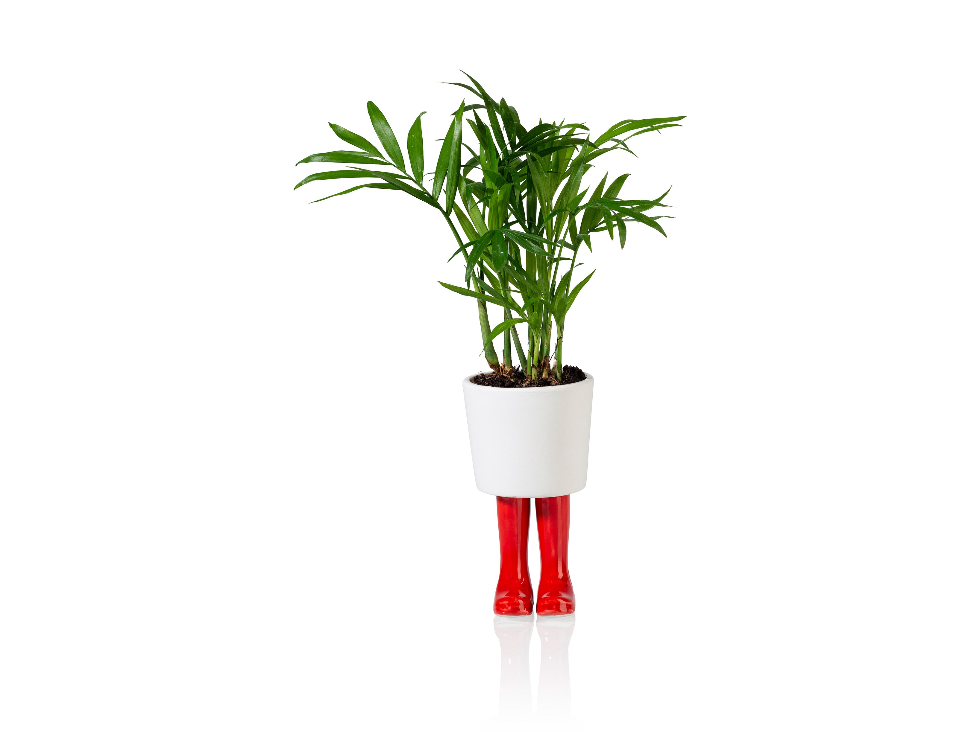 bitten-wellington-planter-small-pot-botte-rouge image 3