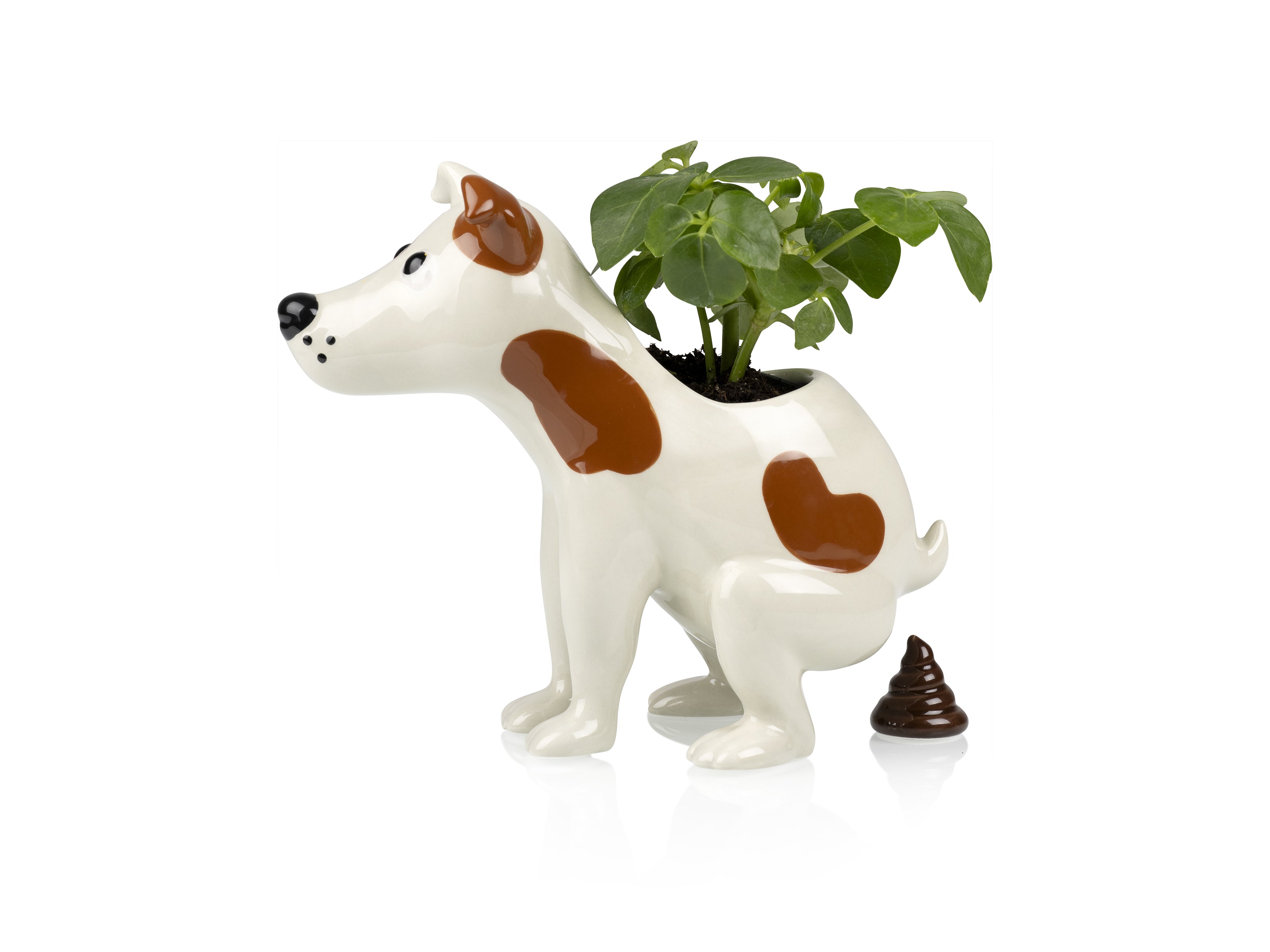 bitten-pooing-dog-cache-pot-chien-c-ramique-original image 2