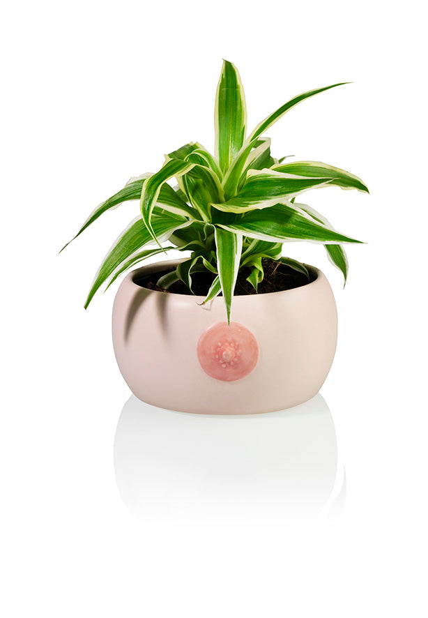 bitten-tableware-cache-pot-c-ramique-seins-boob-bowl image 1