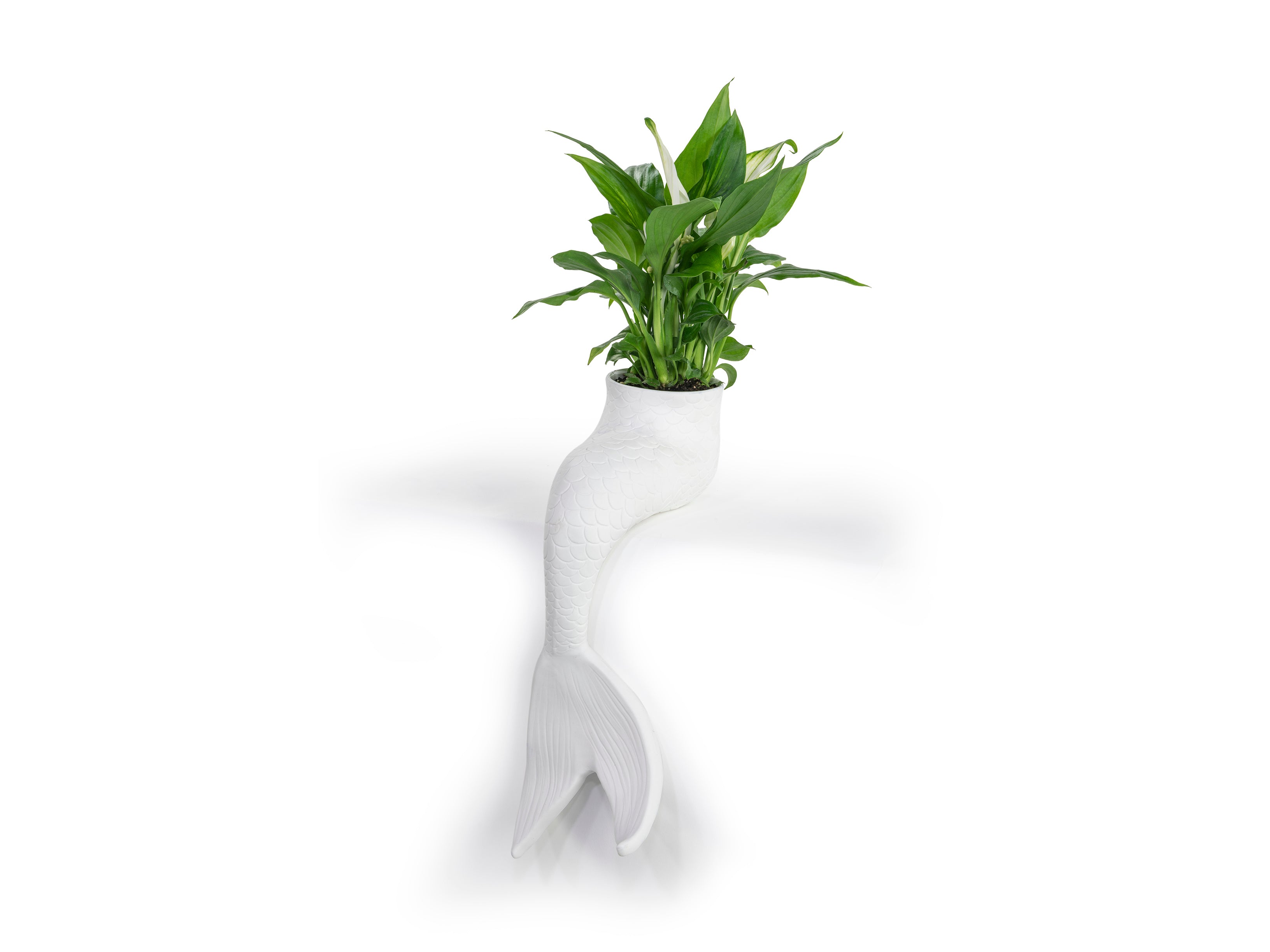 bitten-planters-vases-mermaid-cache-pot-sir-ne-bord-tag-re image 3