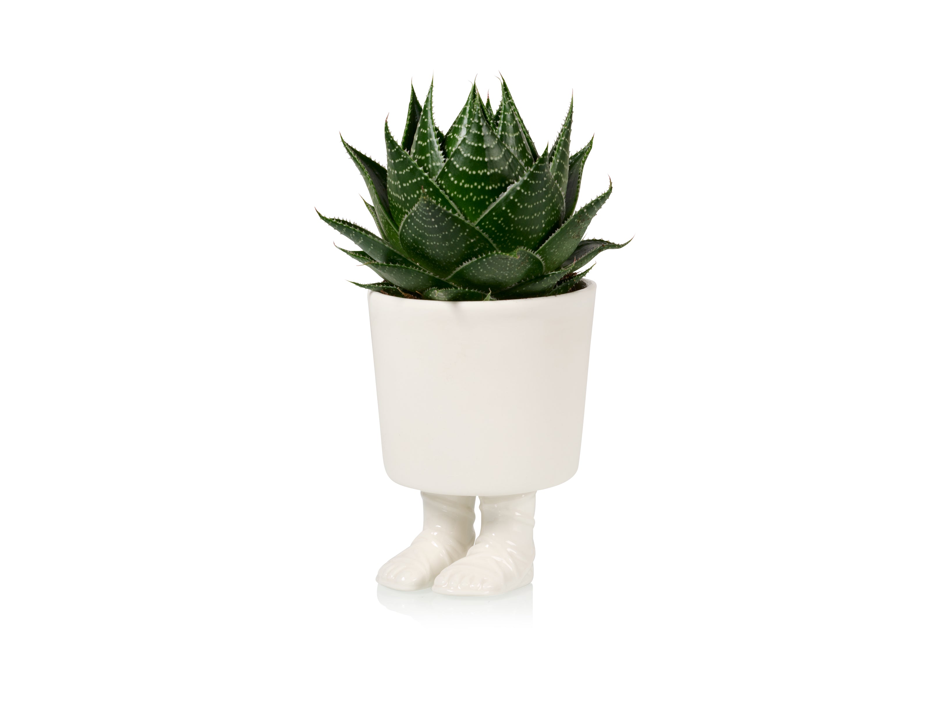 bitten-jardini-re-sandale-gladiateur-grand-pot-plante image 1