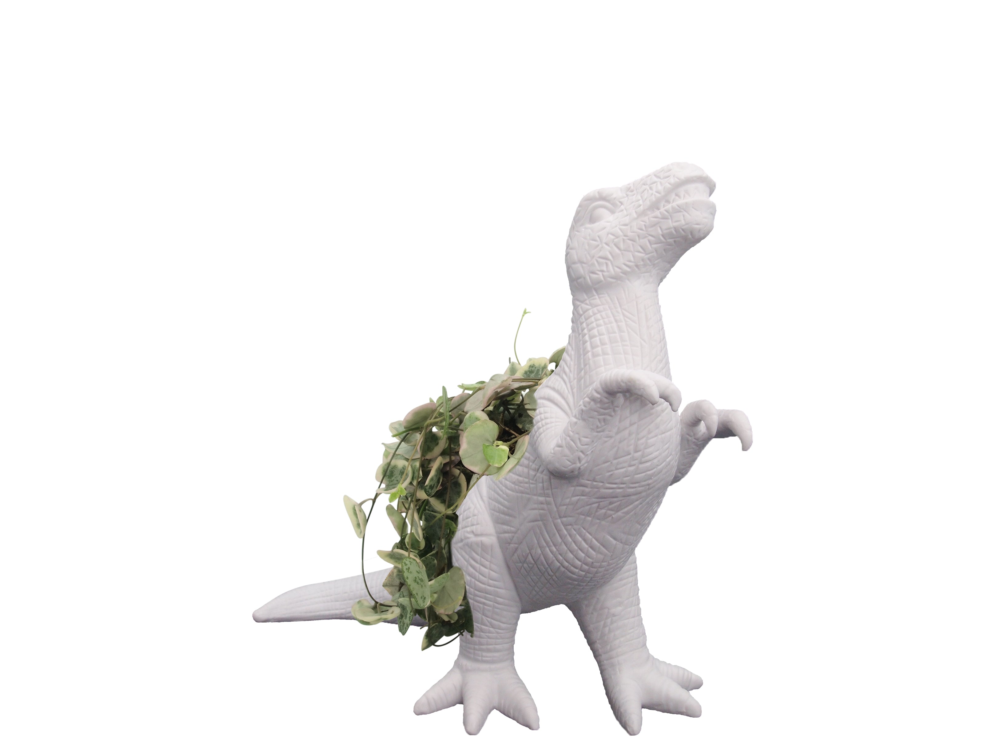 bitten-plantosaurus-cache-pot-dinosaure-blanc image 4