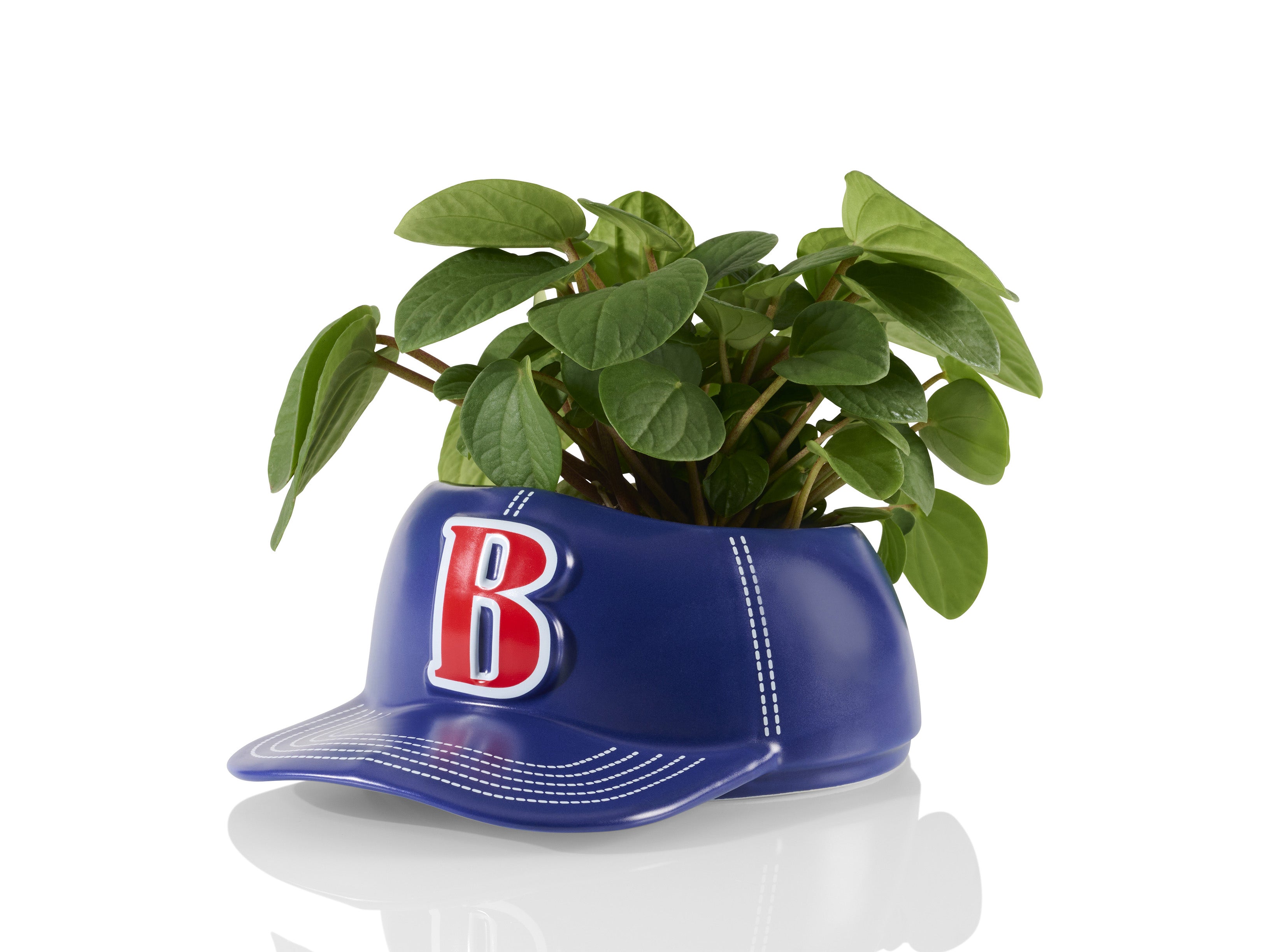 bitten-basebowl-cap-bol-c-ramique-casquette-baseball-22-cm image 1