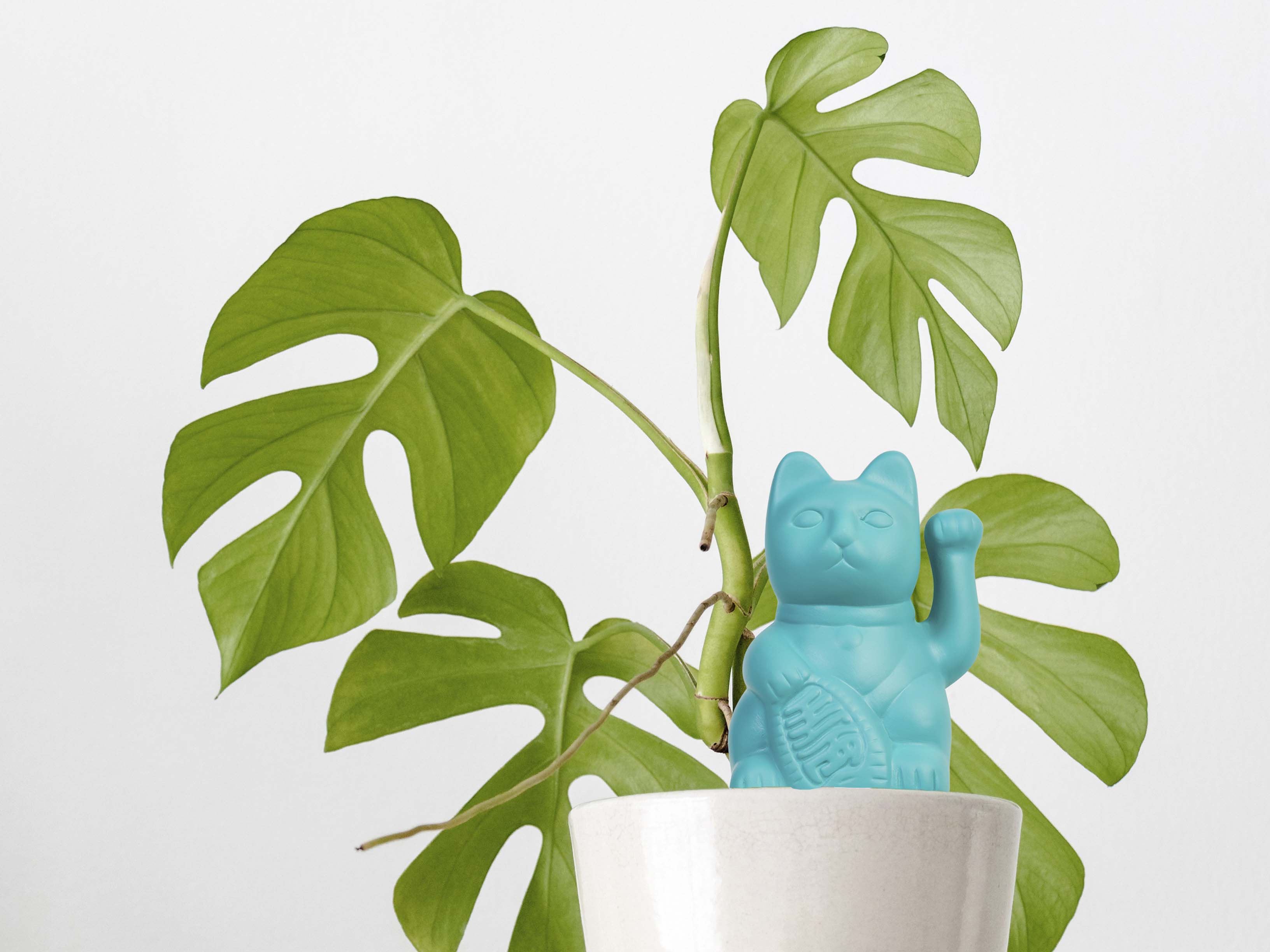 bitten-planters-lucky-cat-pot-arroseur-chat-bleu-21-cm image 2