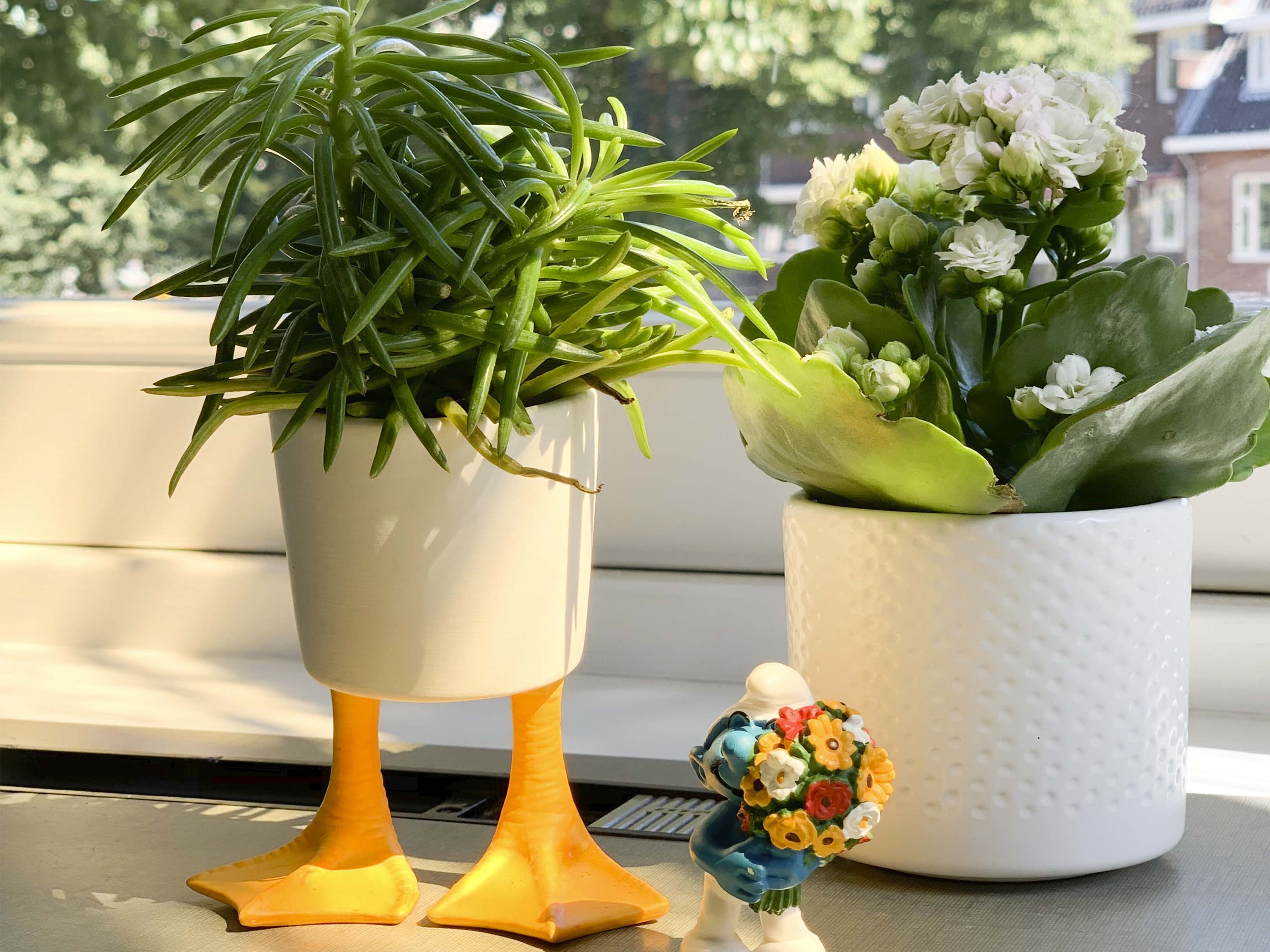 bitten-planters-duck-feet-planter-petit-pot-canard-10cm image 7