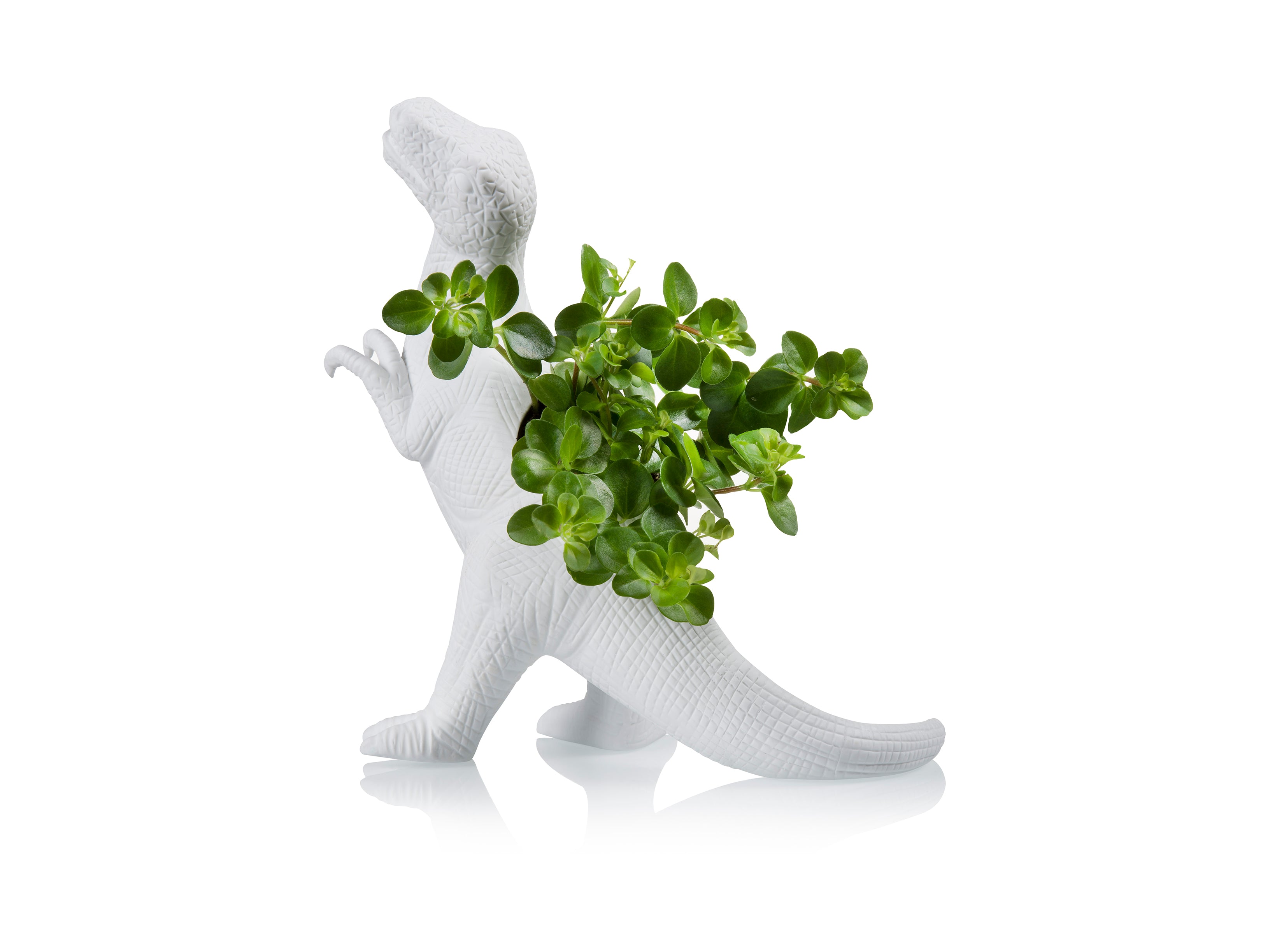 bitten-plantosaurus-cache-pot-dinosaure-blanc image 1