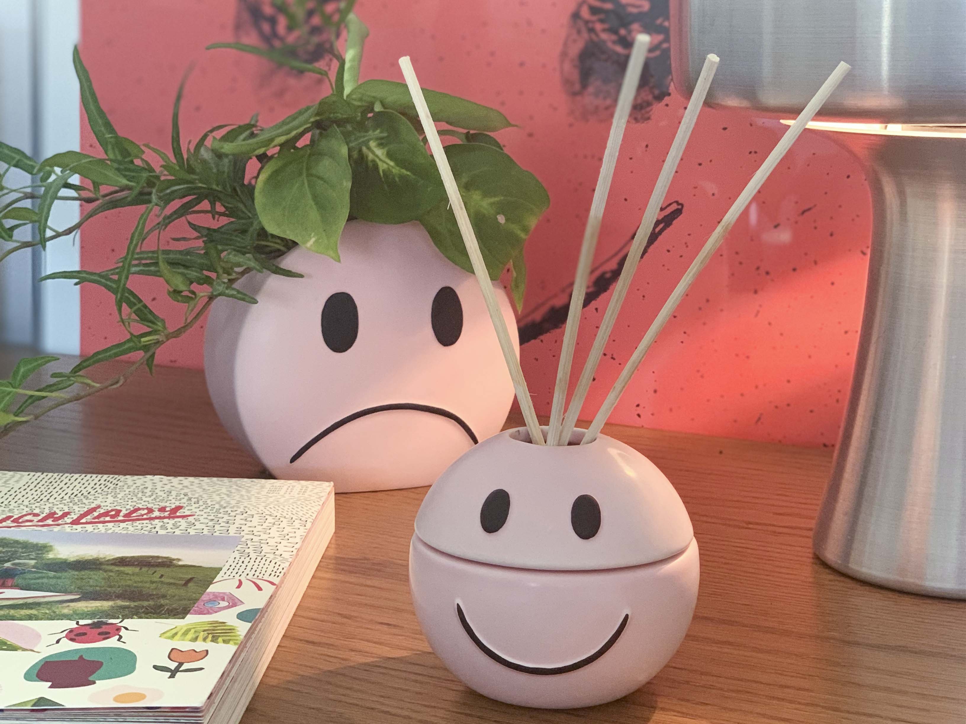 bitten-mood-pot-cache-pot-visage-r-versible image 5