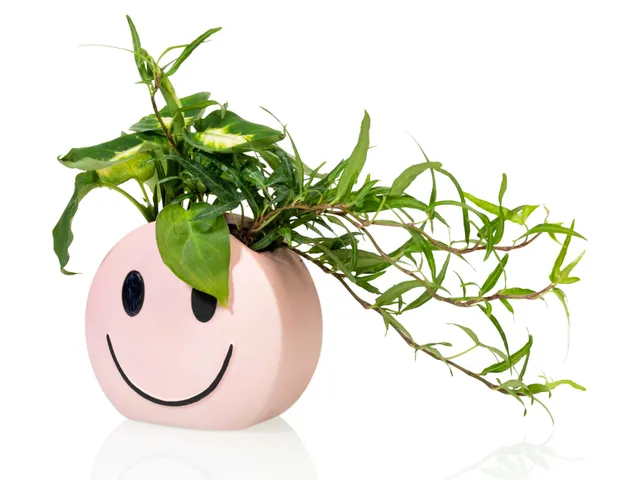 bitten-mood-pot-cache-pot-visage-r-versible image 1