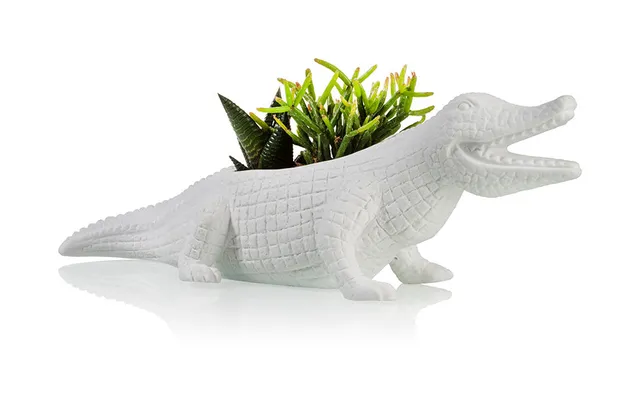 bitten-planters-crocodile-cache-pot-c-ramique-succulentes image 1