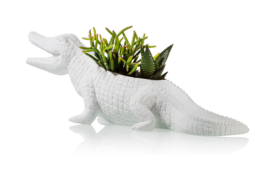 bitten-planters-crocodile-cache-pot-c-ramique-succulentes image 2