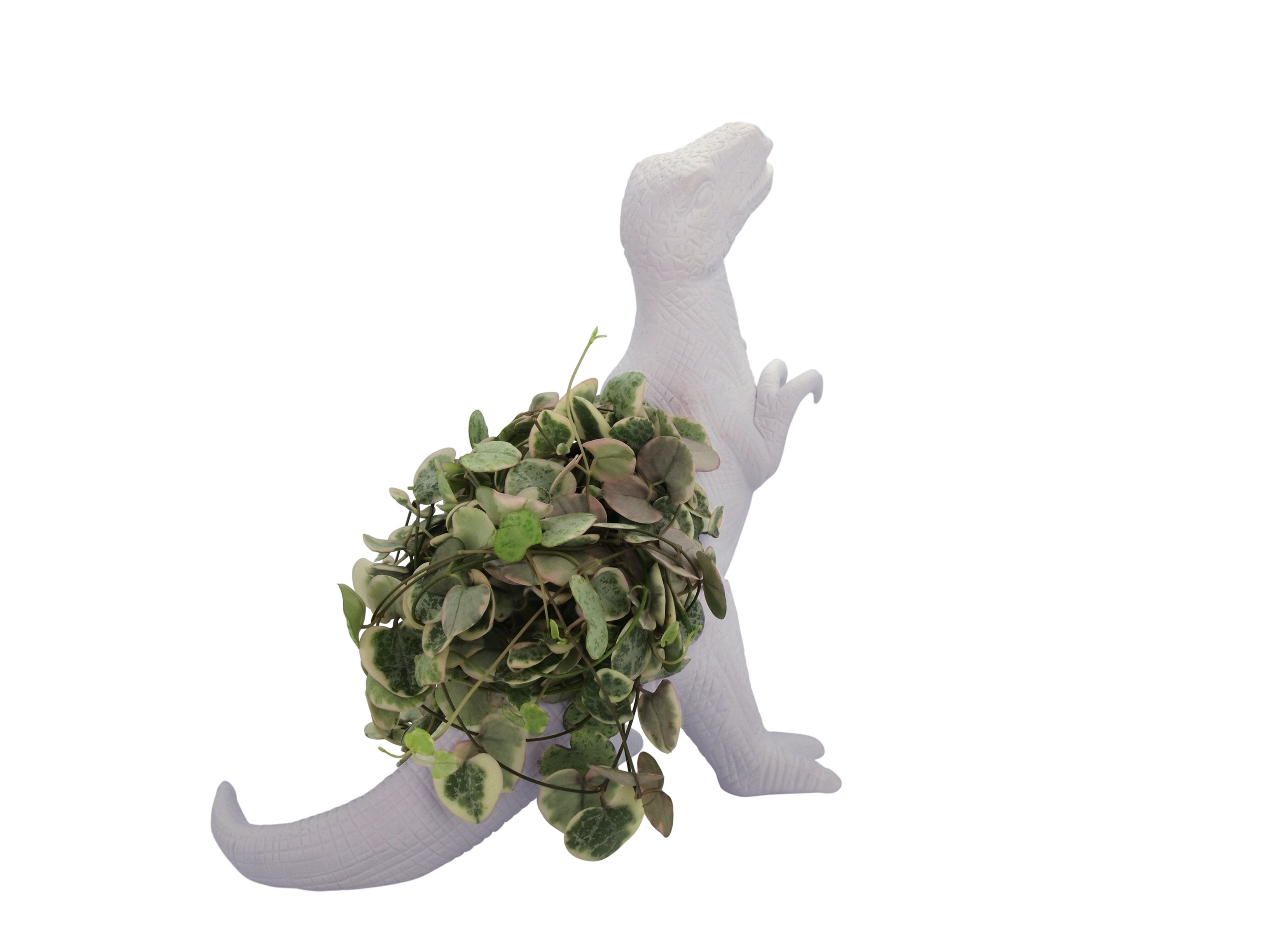 bitten-plantosaurus-cache-pot-dinosaure-blanc image 3