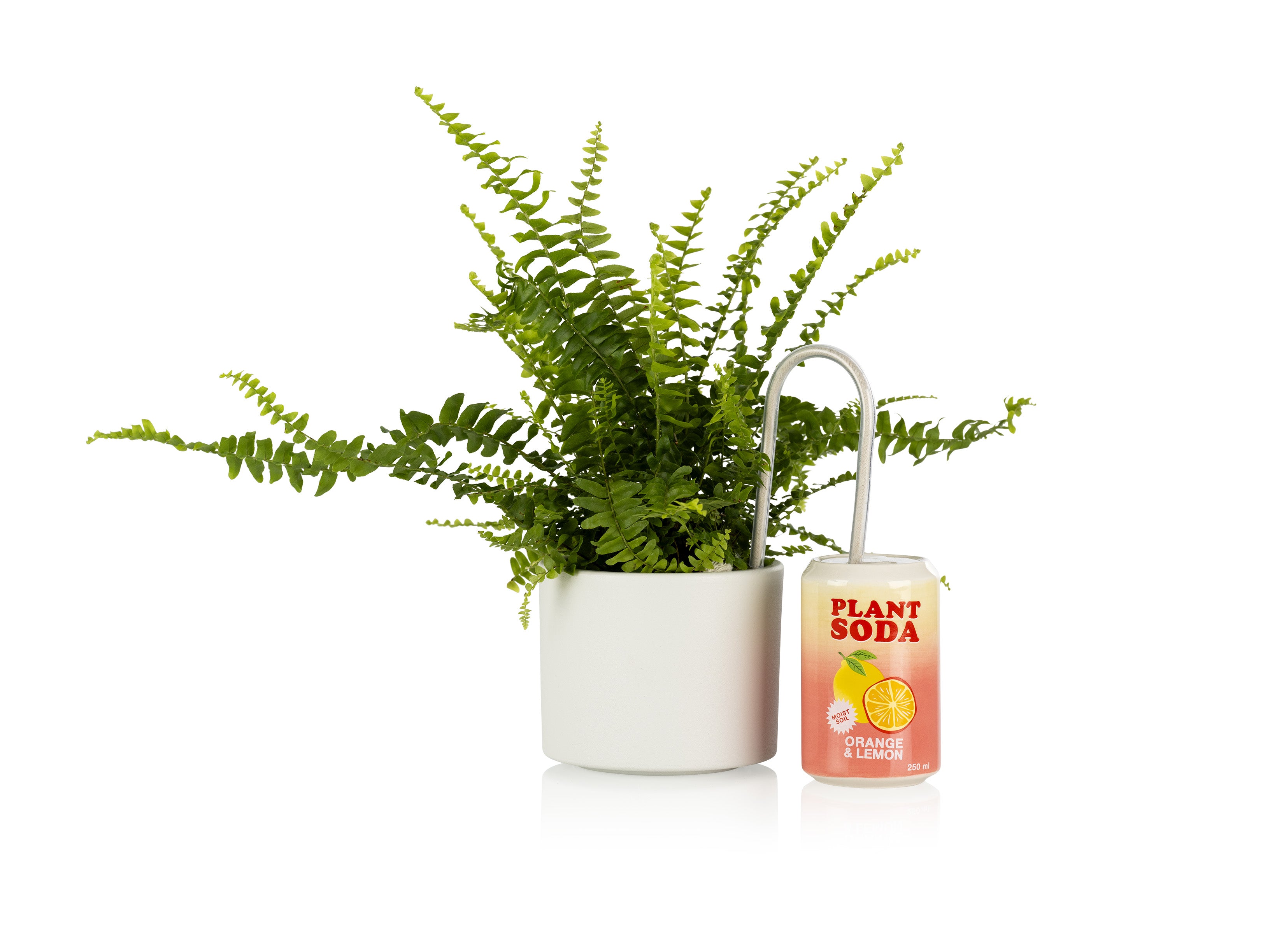 bitten-plant-watering-soda-arroseur-plante-c-ramique-canette image 3