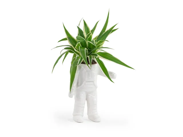 bitten-astronaut-planter-small-pot-plante-astronaute image 1