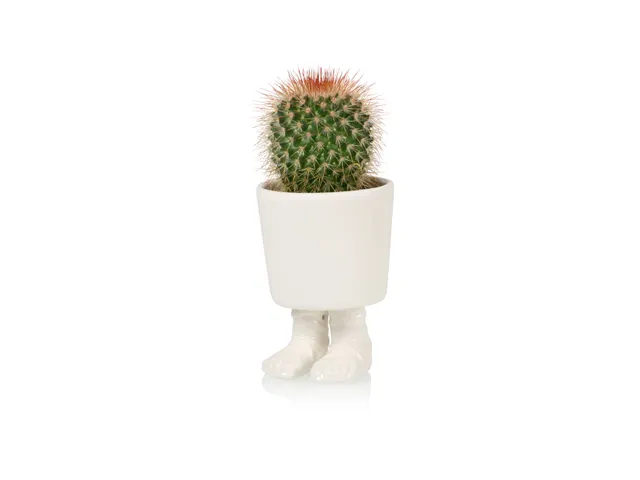 bitten-gladiator-sandal-petit-cache-pot-sandale image 1