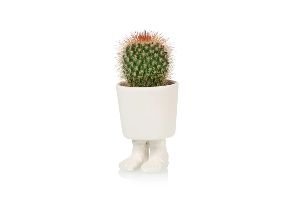 bitten-gladiator-sandal-petit-cache-pot-sandale image 1