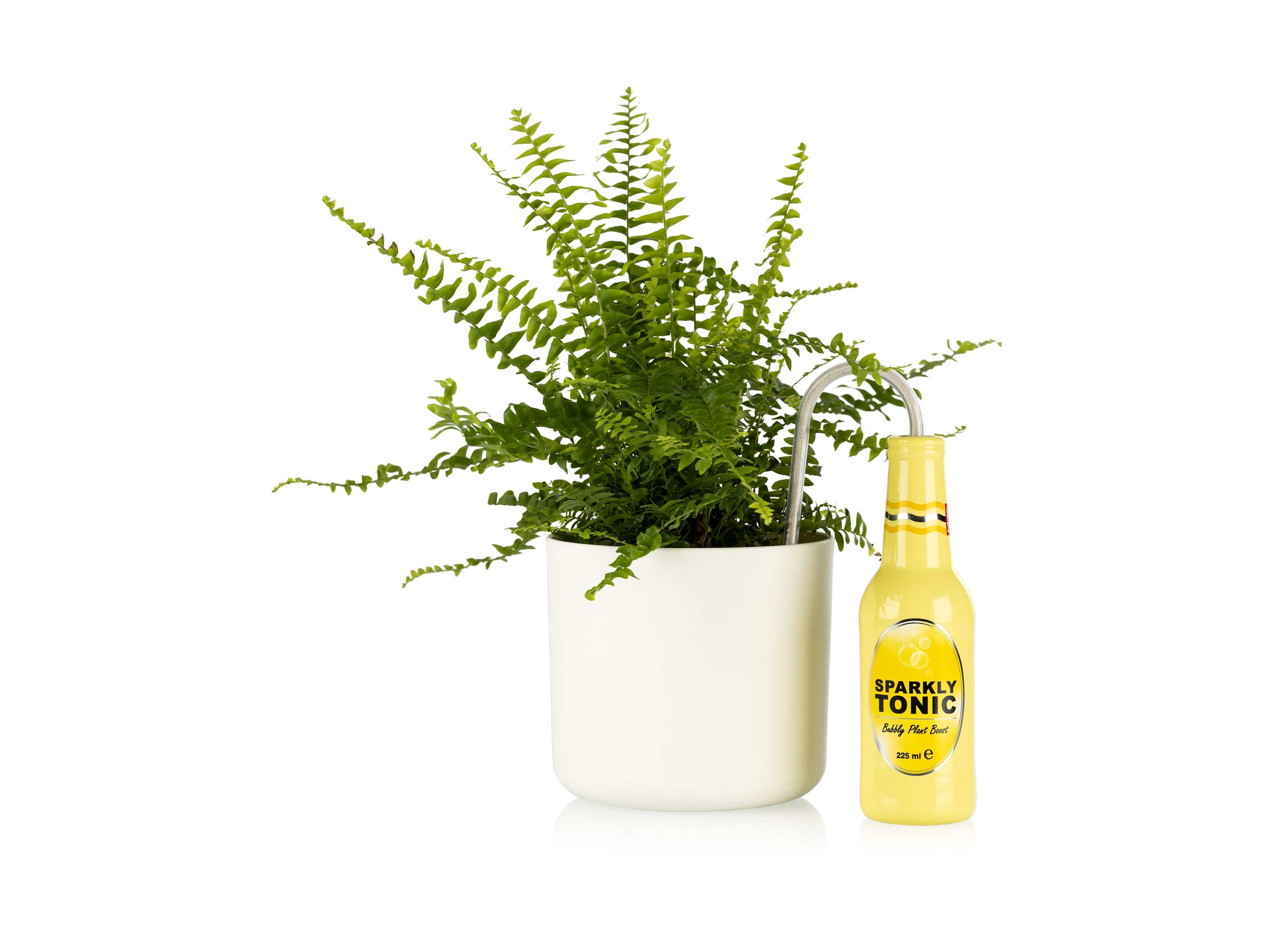 bitten-plant-watering-tonic-arroseur-c-ramique-17-5-cm image 1