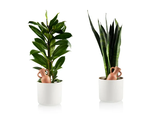 bitten-amphora-arroseur-plante-terre-cuite-vacances image 1