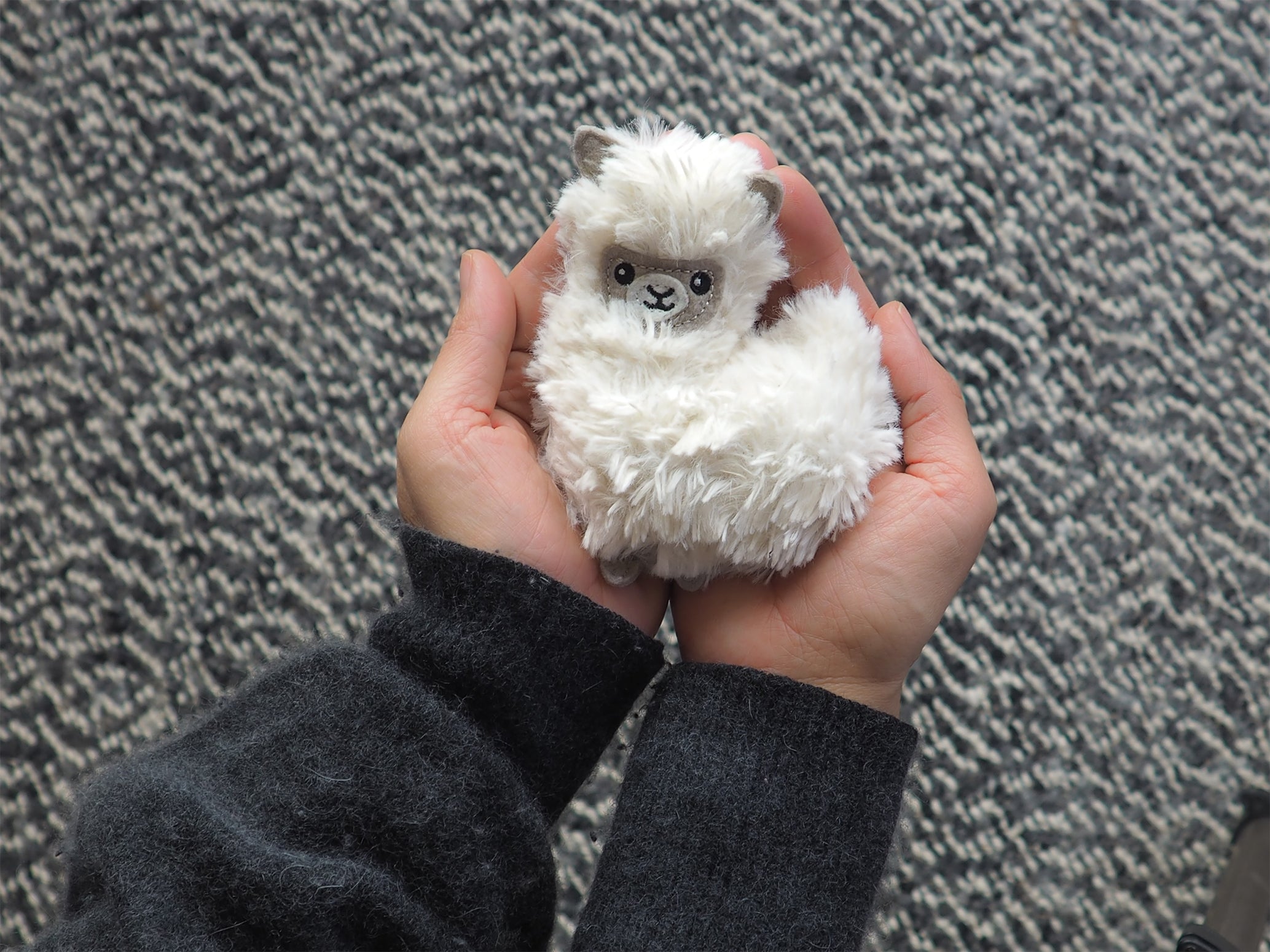 bitten-pocket-pal-peluche-chauffante-lama-lavande-micro-ondes image 1