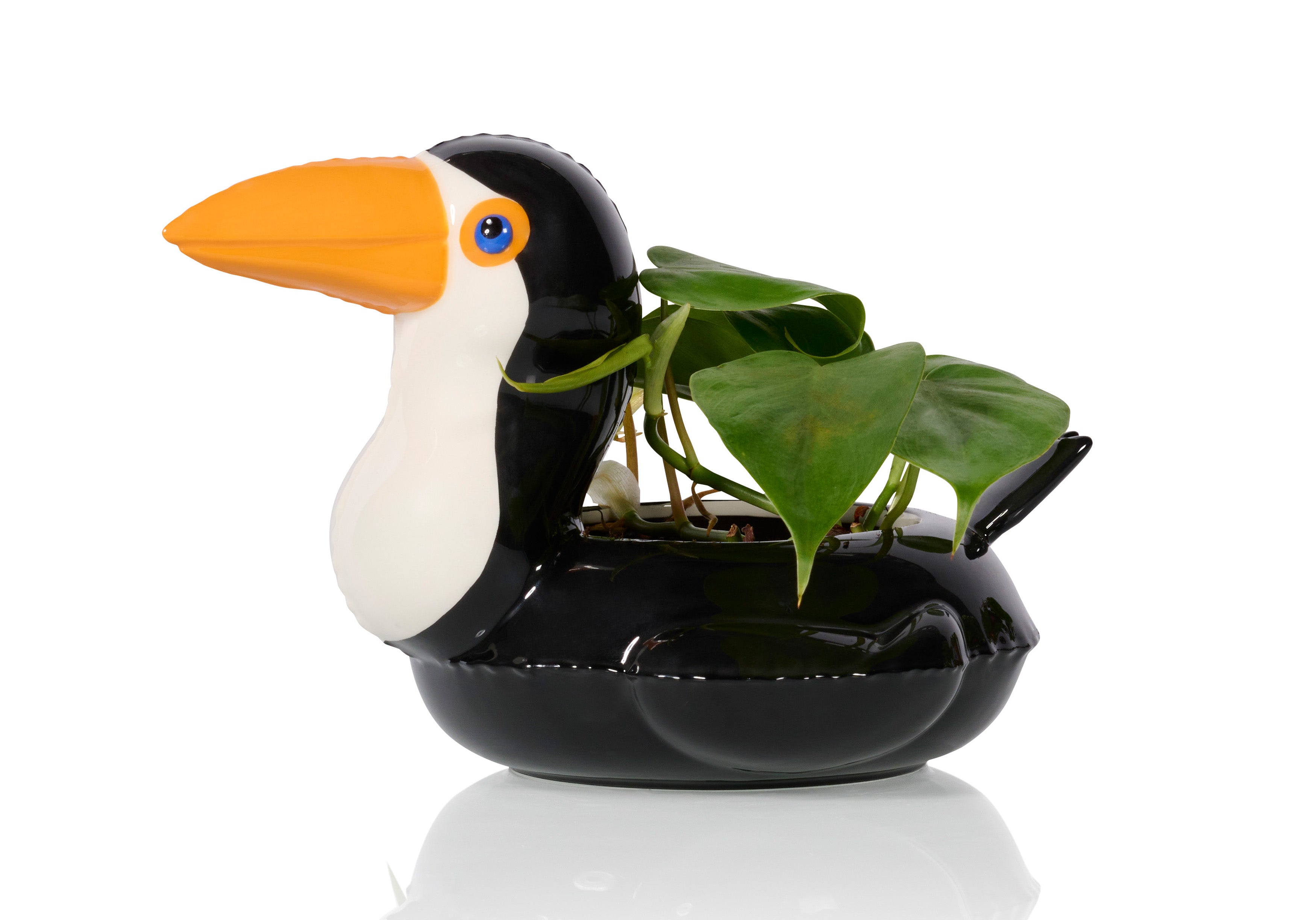 bitten-floaty-toucan-pot-cache-pot-c-ramique-tropical image 1