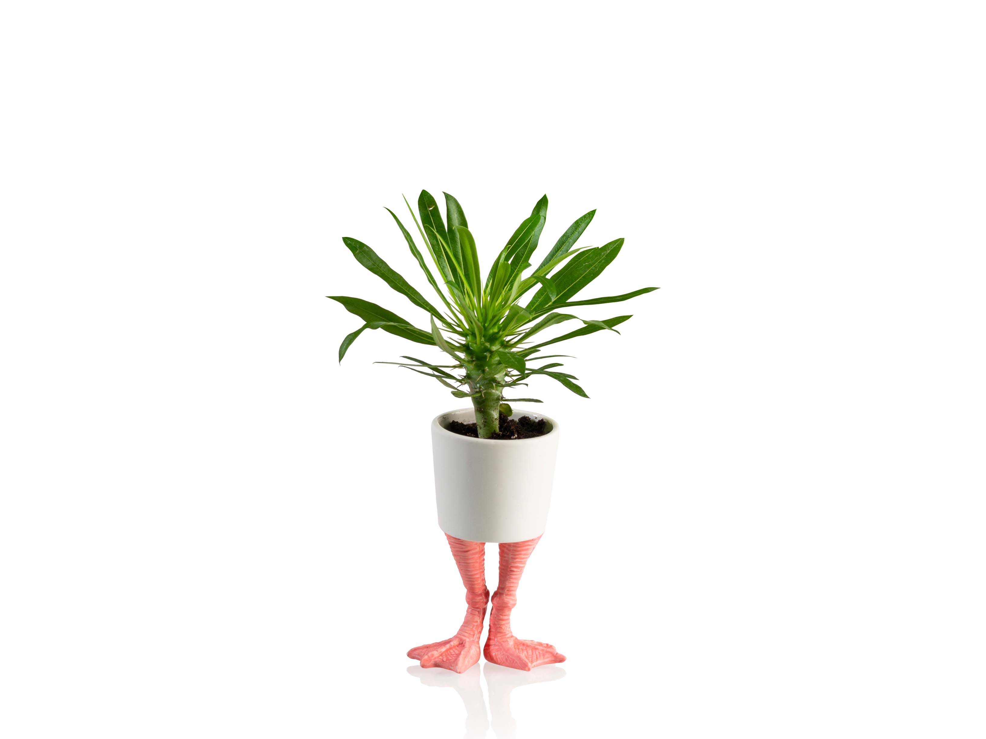 bitten-planters-flamingo-feet-cache-pot-porcelaine-petit image 1