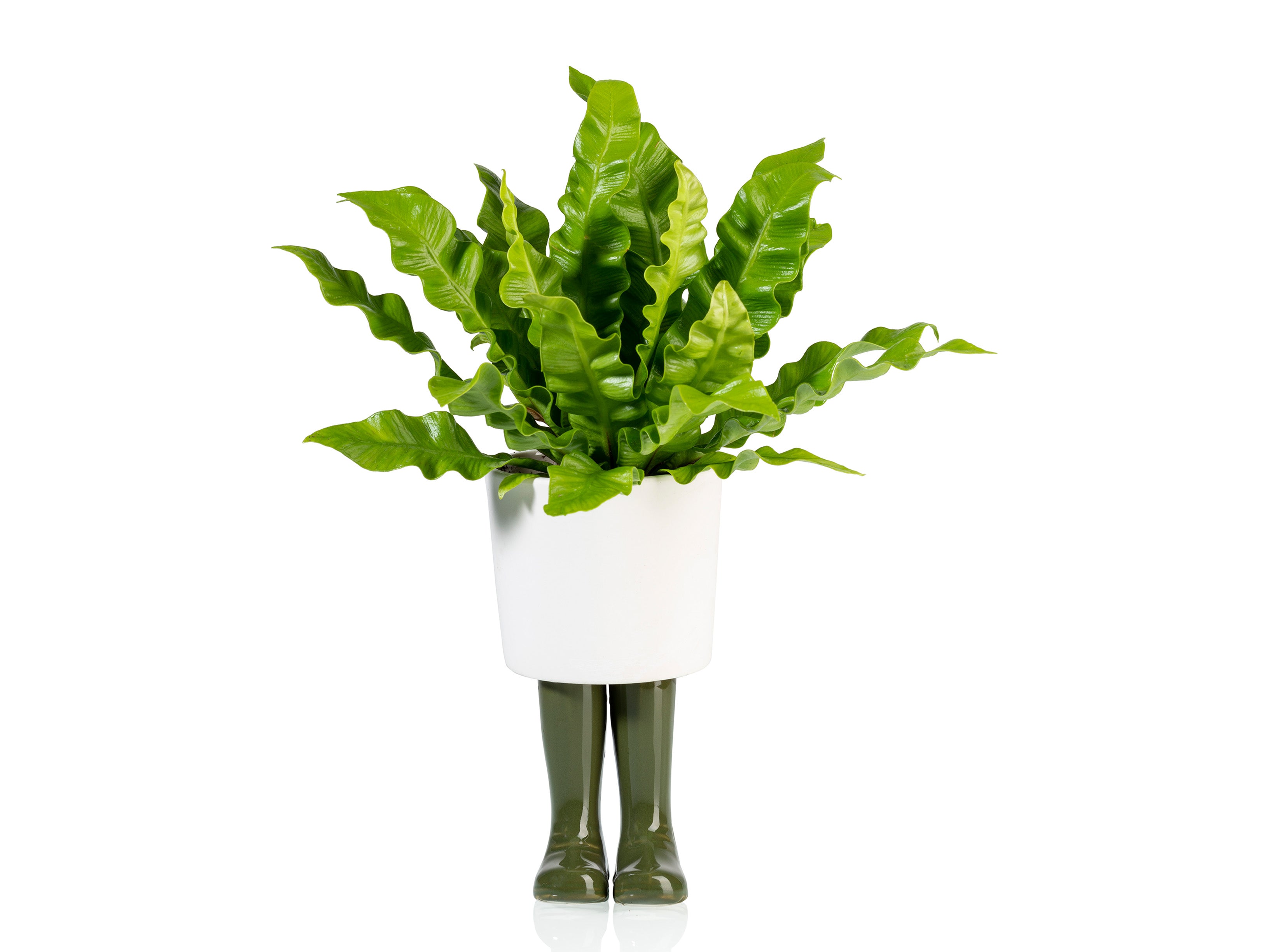 bitten-wellington-cache-pot-botte-porcelaine-vert-grand image 1