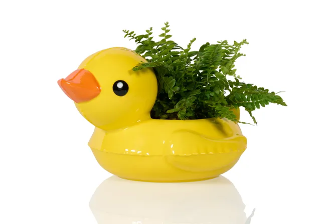bitten-floaty-duck-pot-plante-canard-bou-e-c-ramique image 1