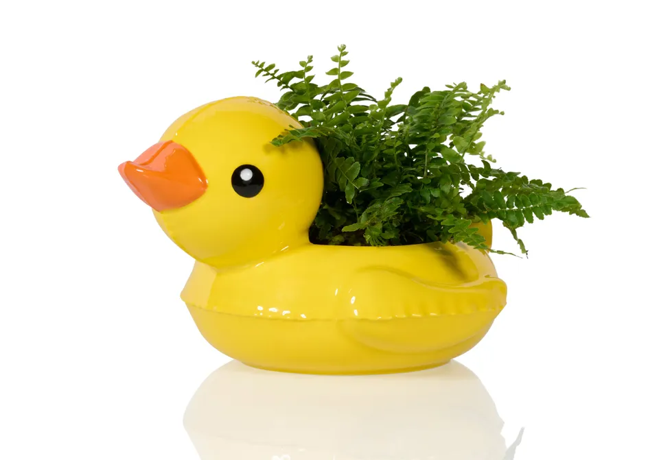 bitten-floaty-duck-pot-plante-canard-bou-e-c-ramique image 1