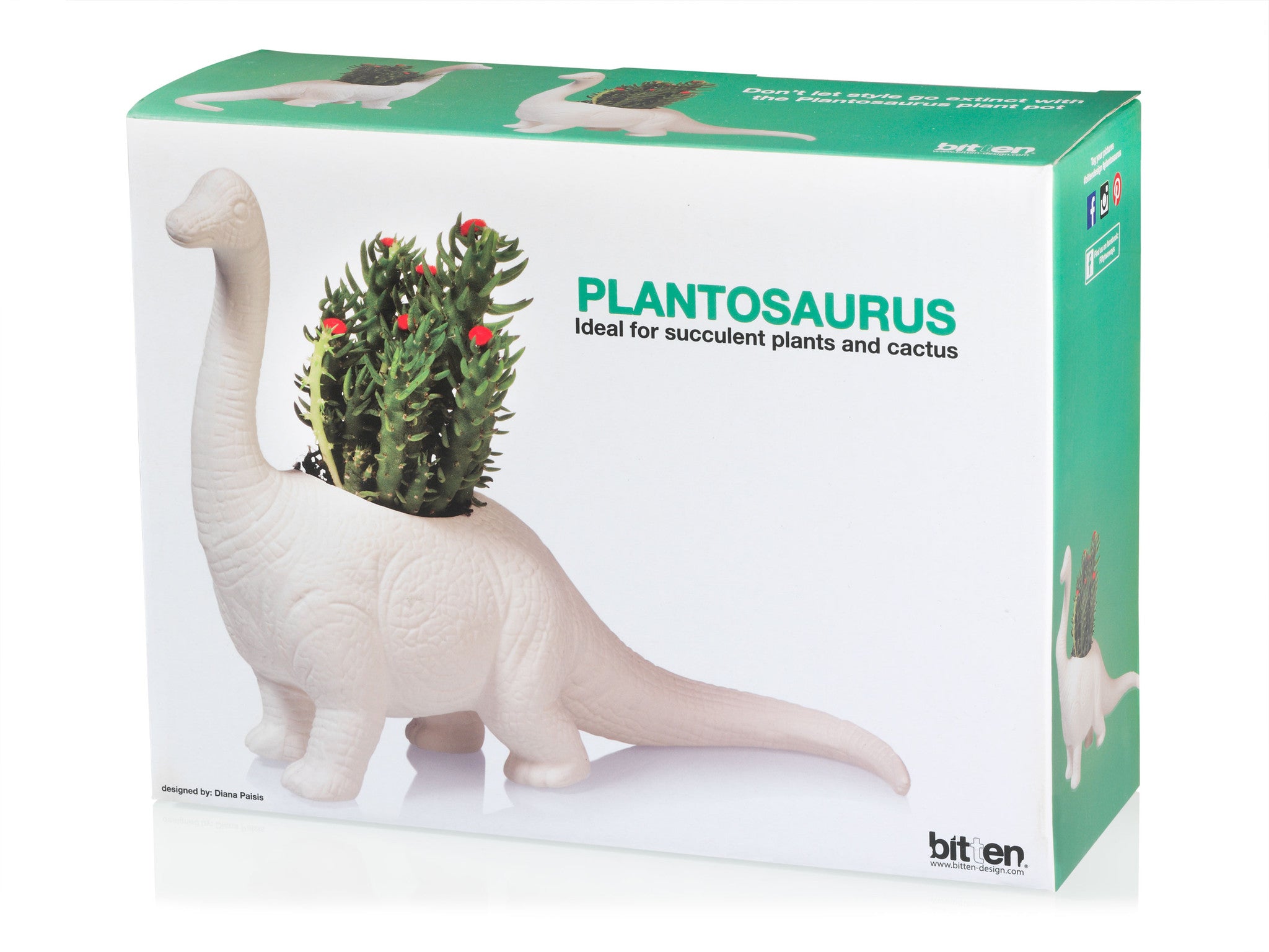 bitten-plantosaurus-jardini-re-dinosaure-blanche image 3