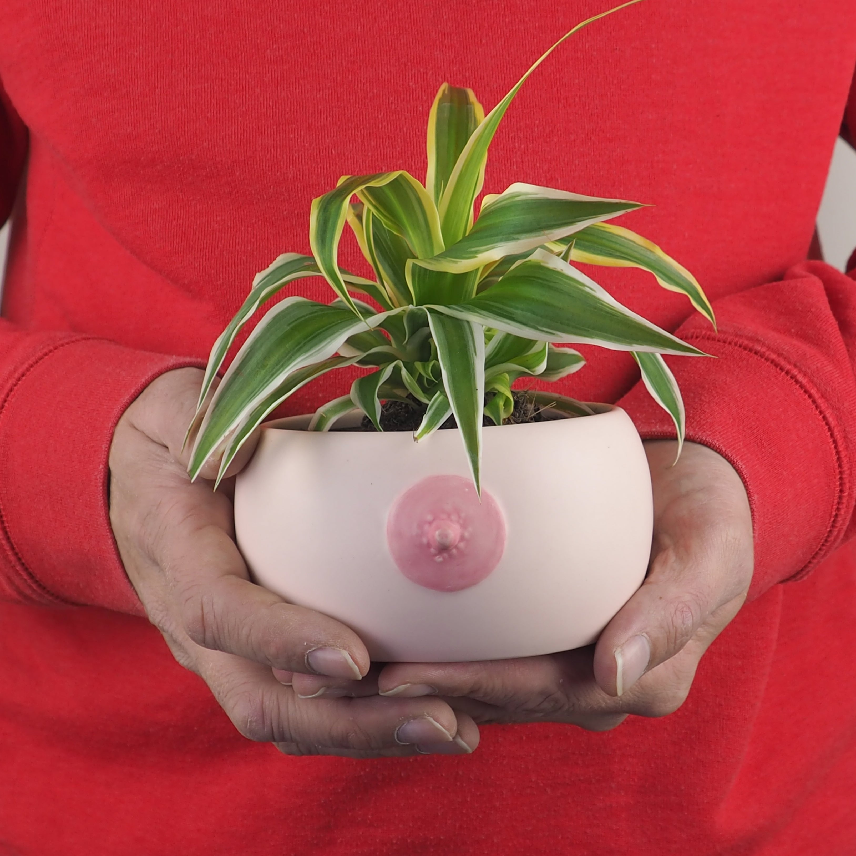 bitten-tableware-cache-pot-c-ramique-seins-boob-bowl image 2