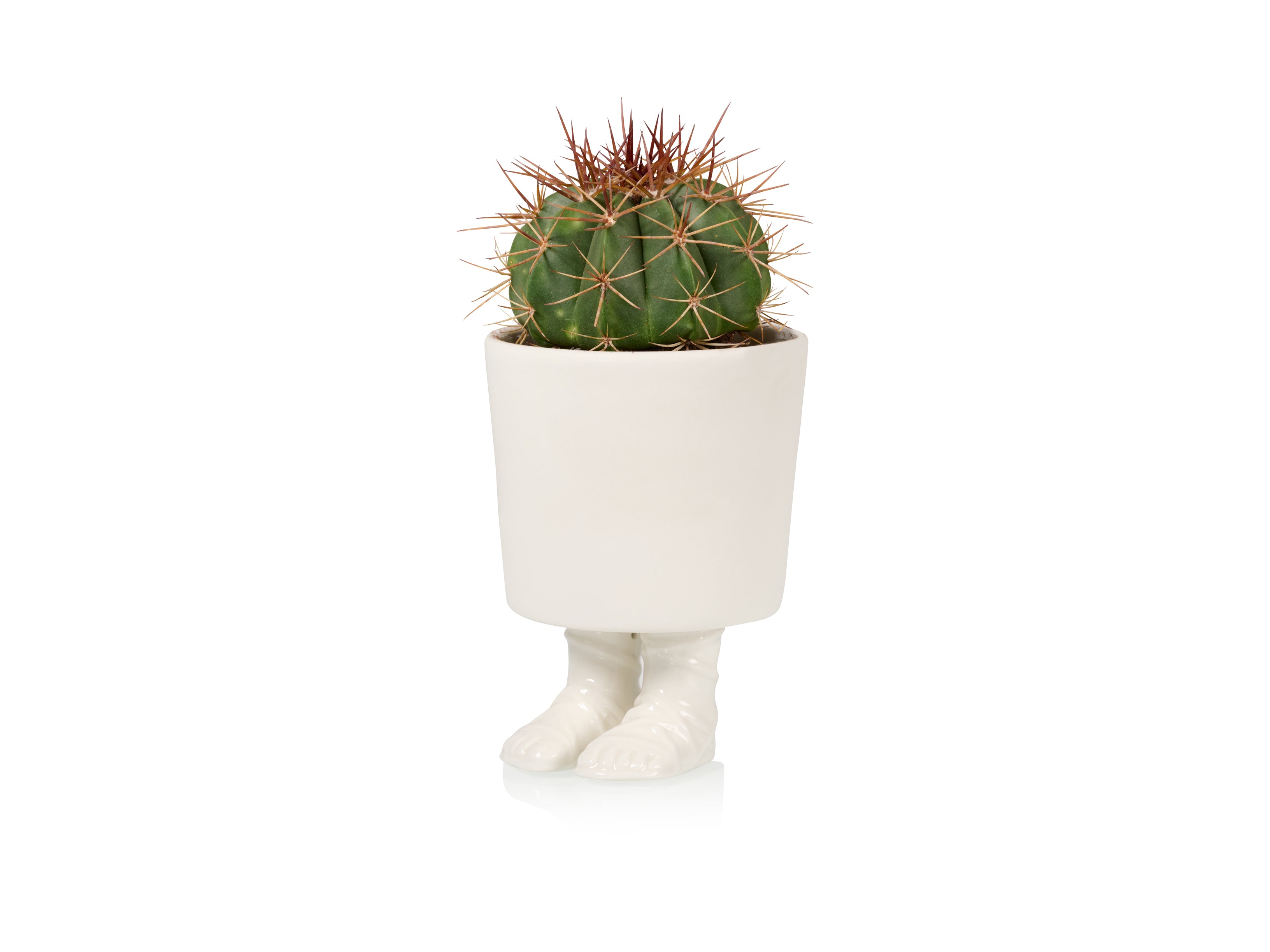 bitten-jardini-re-sandale-gladiateur-grand-pot-plante image 3