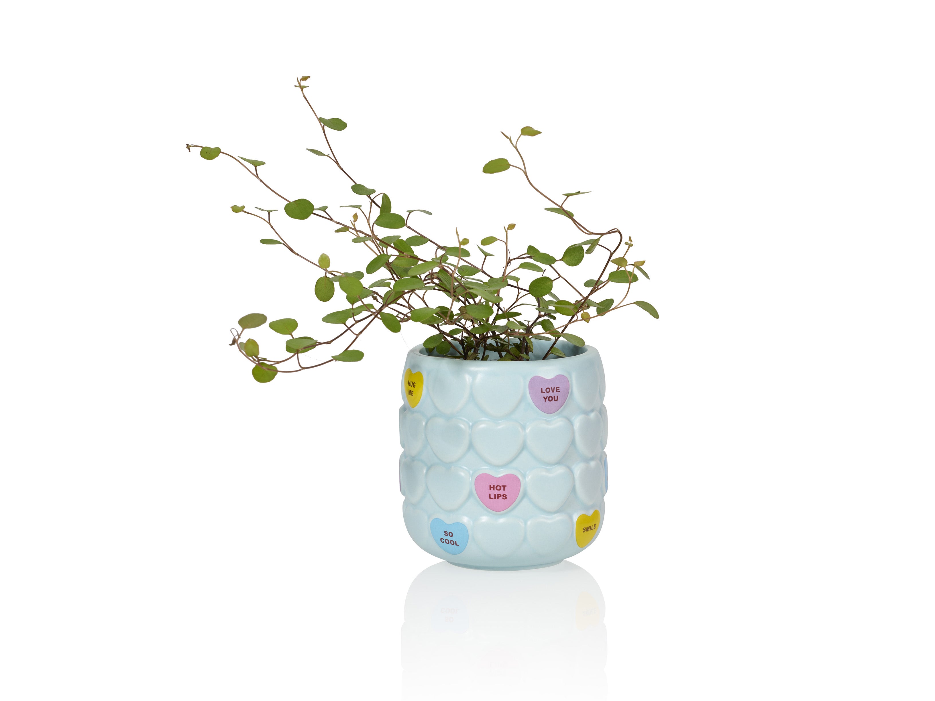 bitten-sweet-heart-cup-tasse-coeur-bleu-c-ramique image 4