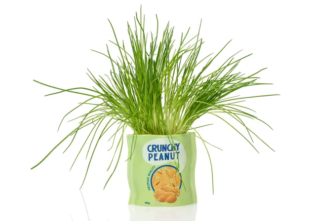 bitten-peanut-ceramic-planter-cache-pot-cacahu-te image 1