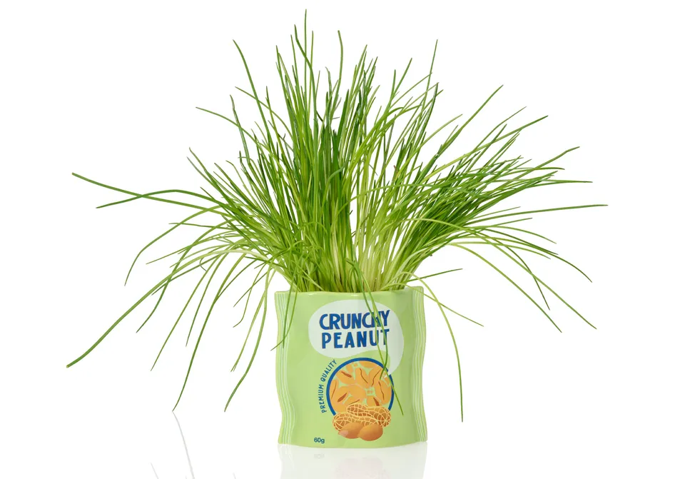 bitten-peanut-ceramic-planter-cache-pot-cacahu-te image 1