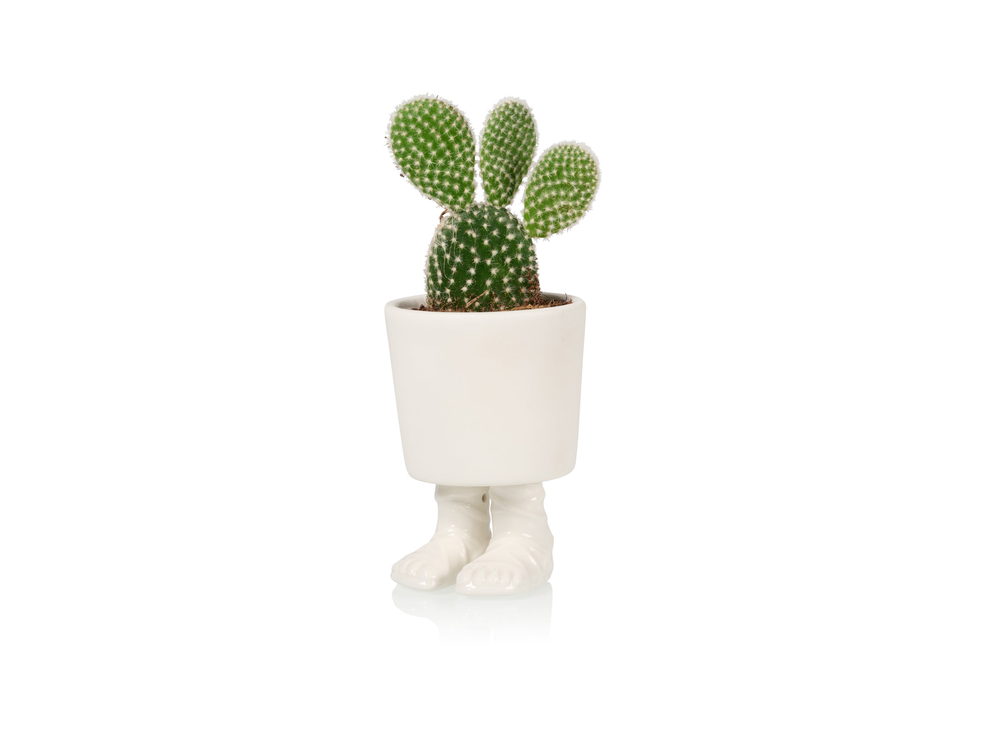 bitten-gladiator-sandal-petit-cache-pot-sandale image 2