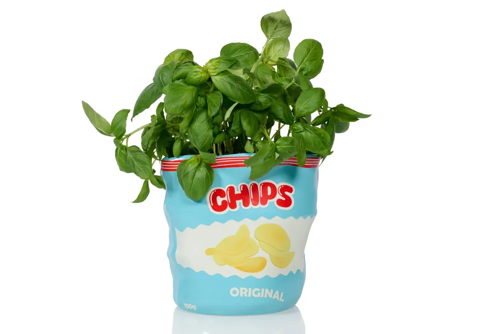 bitten-chips-cache-pot-c-ramique-paquet-chips-herbes image 1