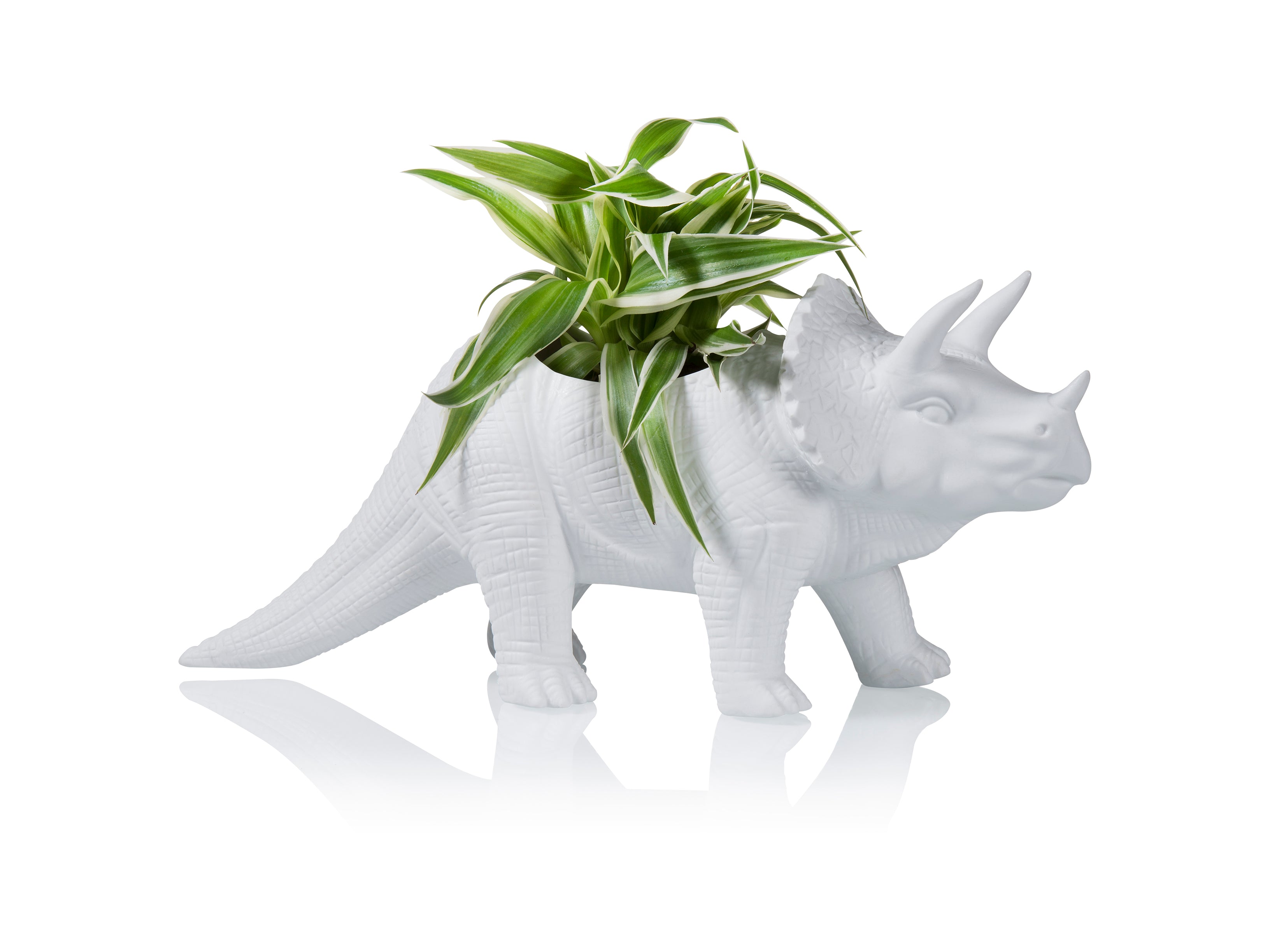 bitten-tricerapot-cache-pot-dinosaure-blanc-31-cm image 4