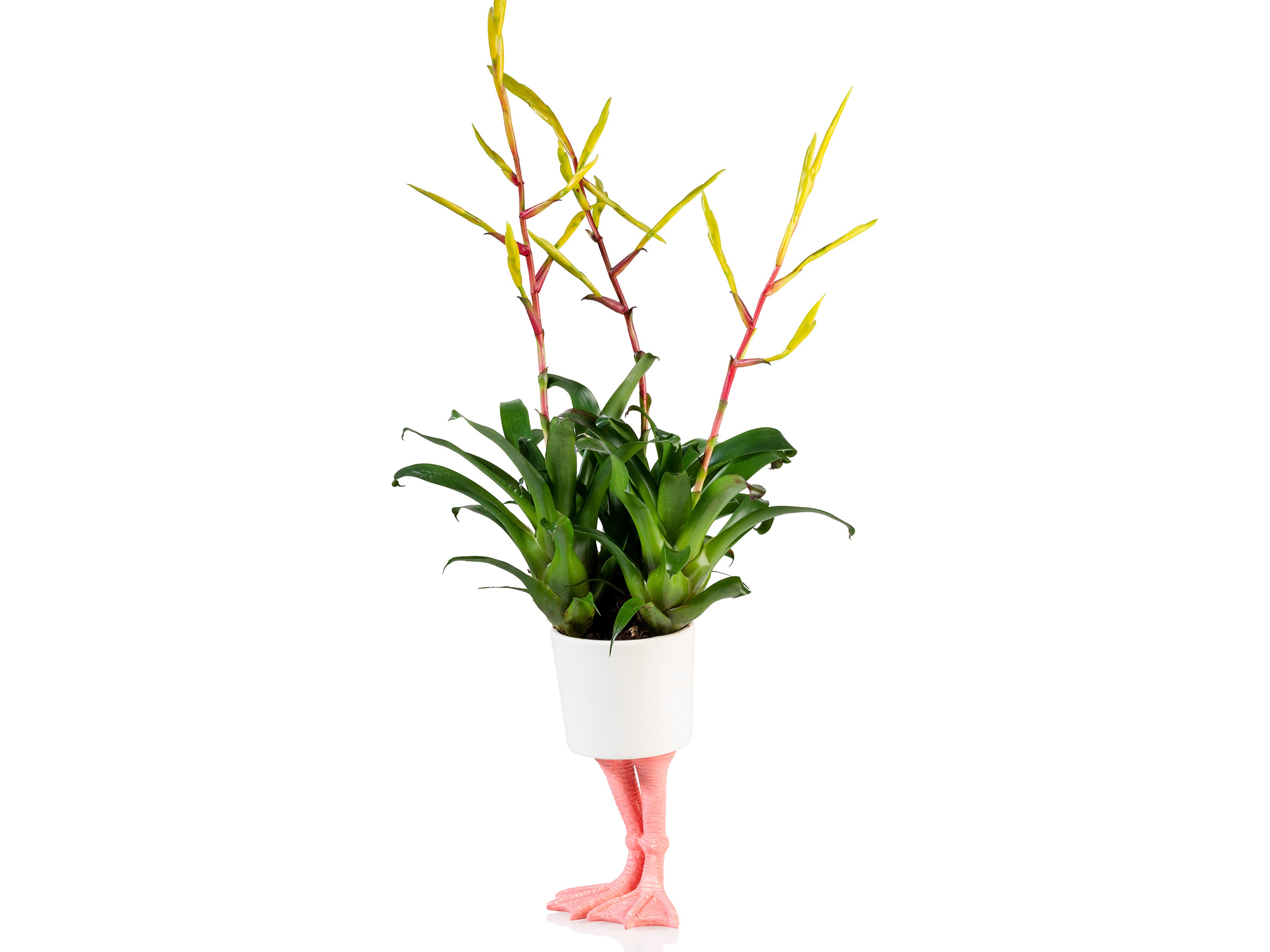 bitten-flamingo-feet-planter-large-cache-pot-flamant-porcelaine image 3