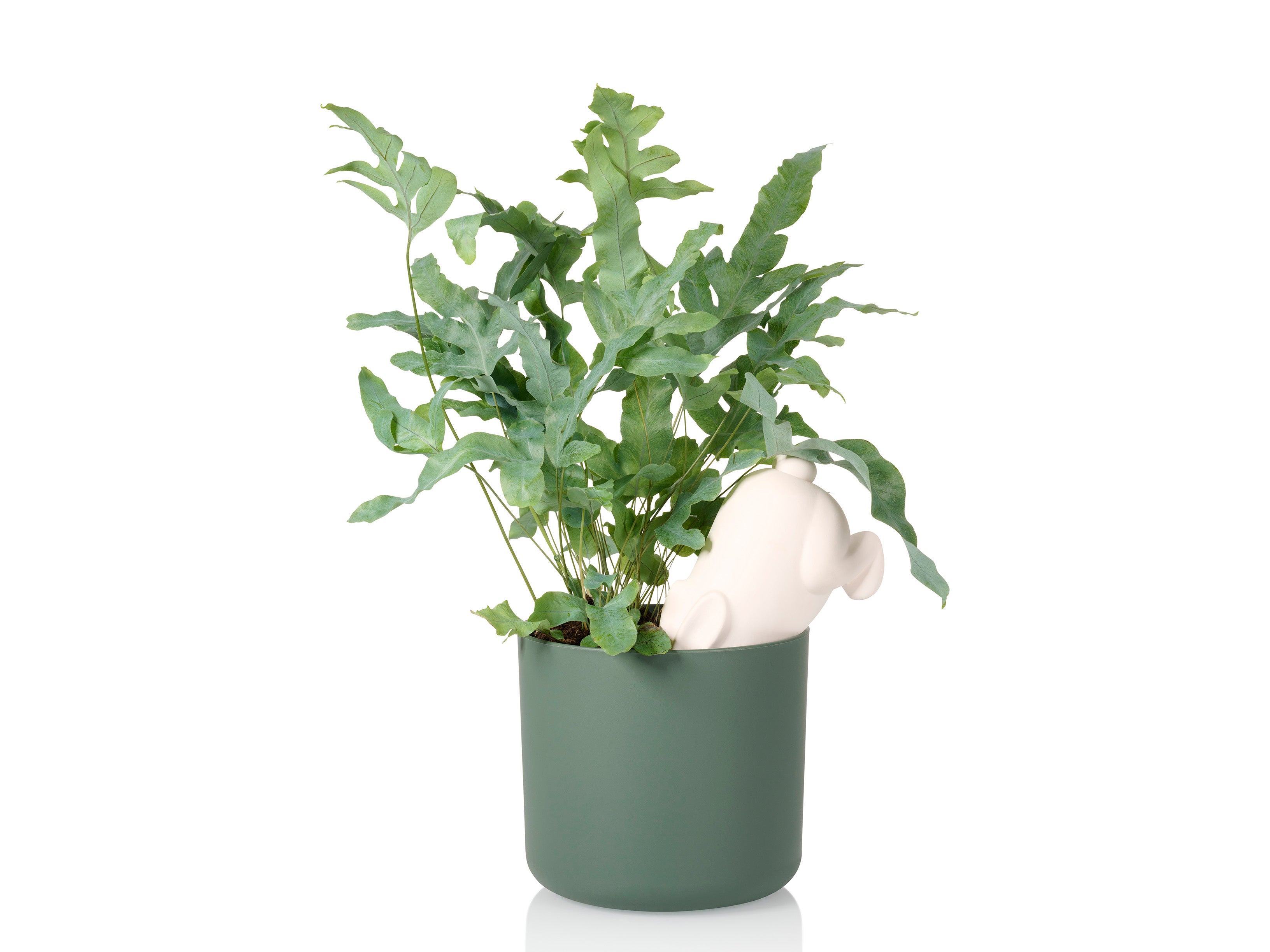bitten-bunny-arroseur-plante-terracotta-vacances image 1
