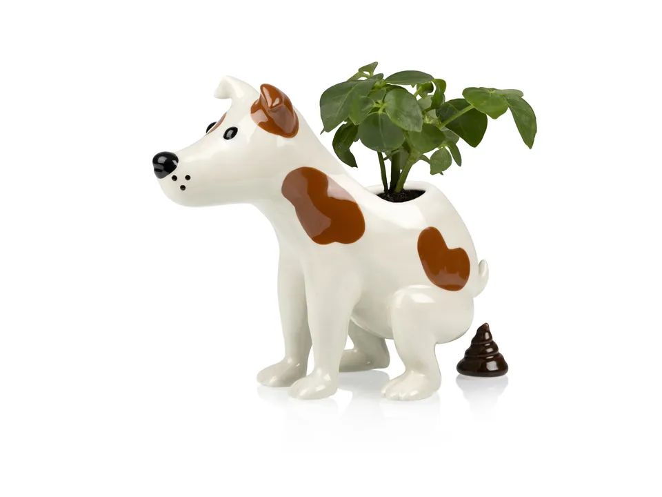 bitten-pooing-dog-cache-pot-chien-c-ramique-original image 1