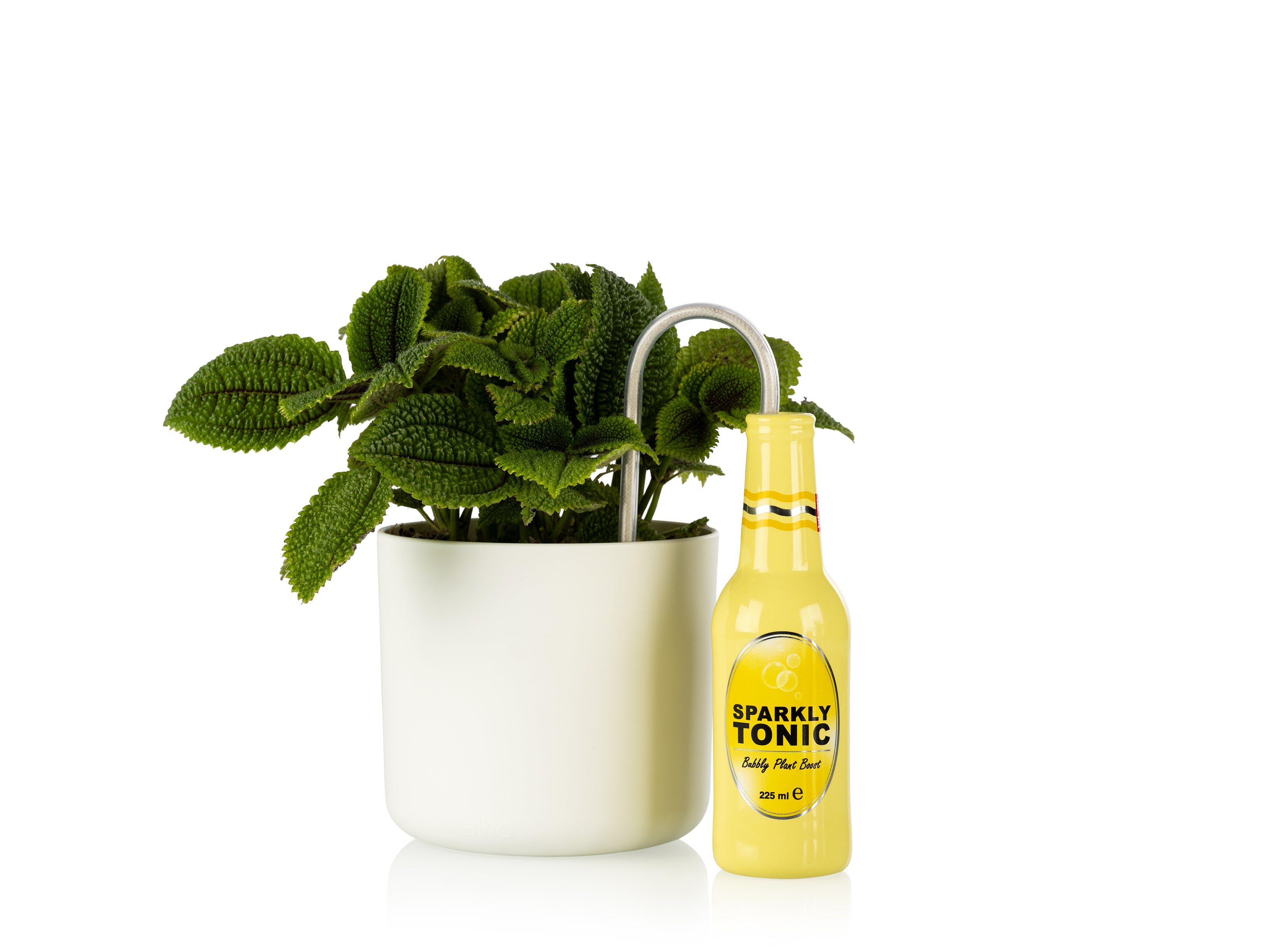 bitten-plant-watering-tonic-arroseur-c-ramique-17-5-cm image 2
