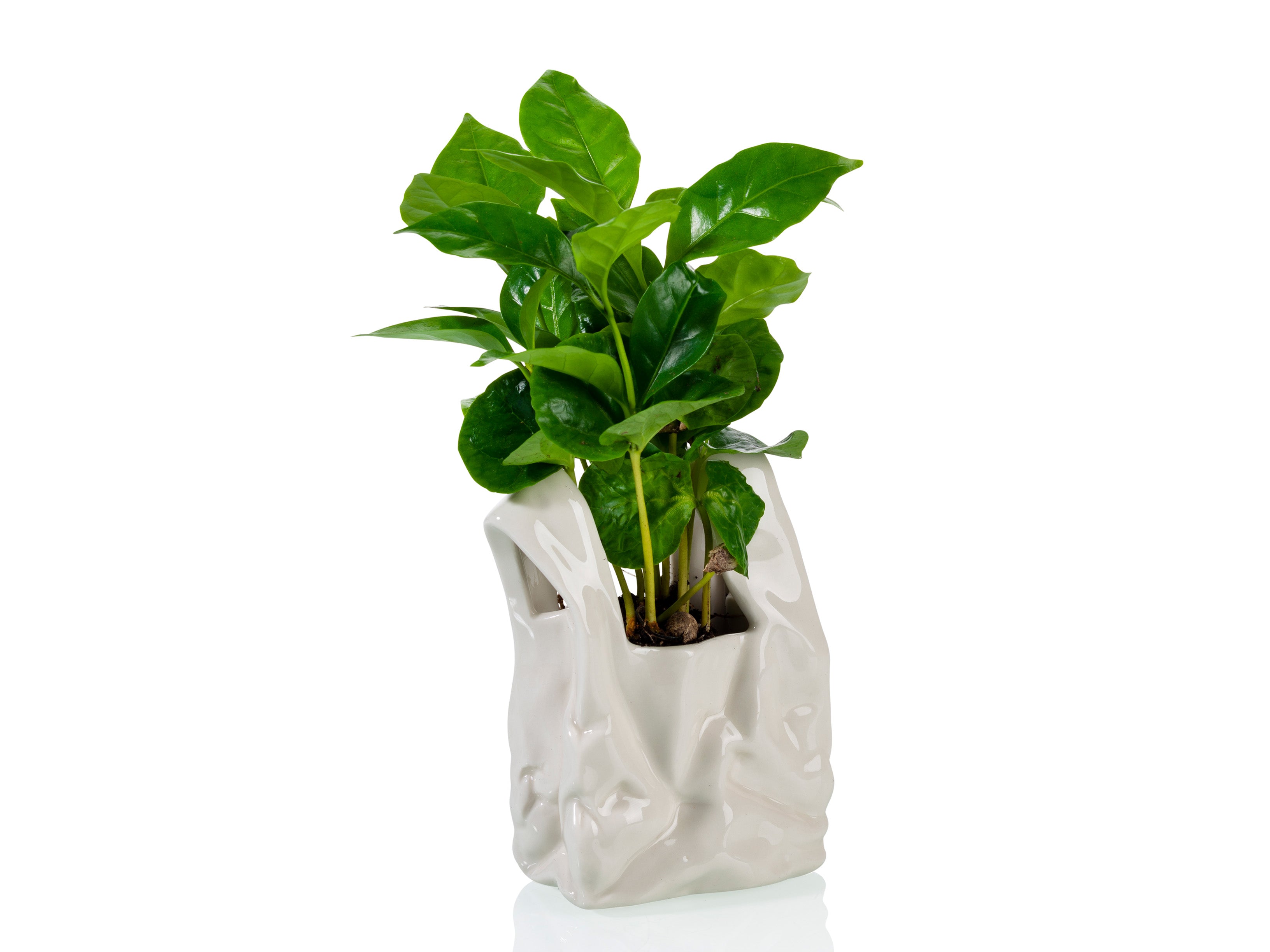 bitten-home-i-am-not-a-plastic-bag-petit-pot-c-ramique image 2