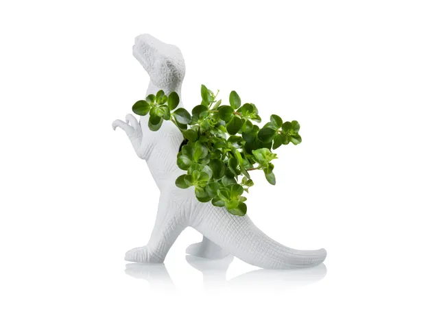 bitten-plantosaurus-cache-pot-dinosaure-blanc image 1